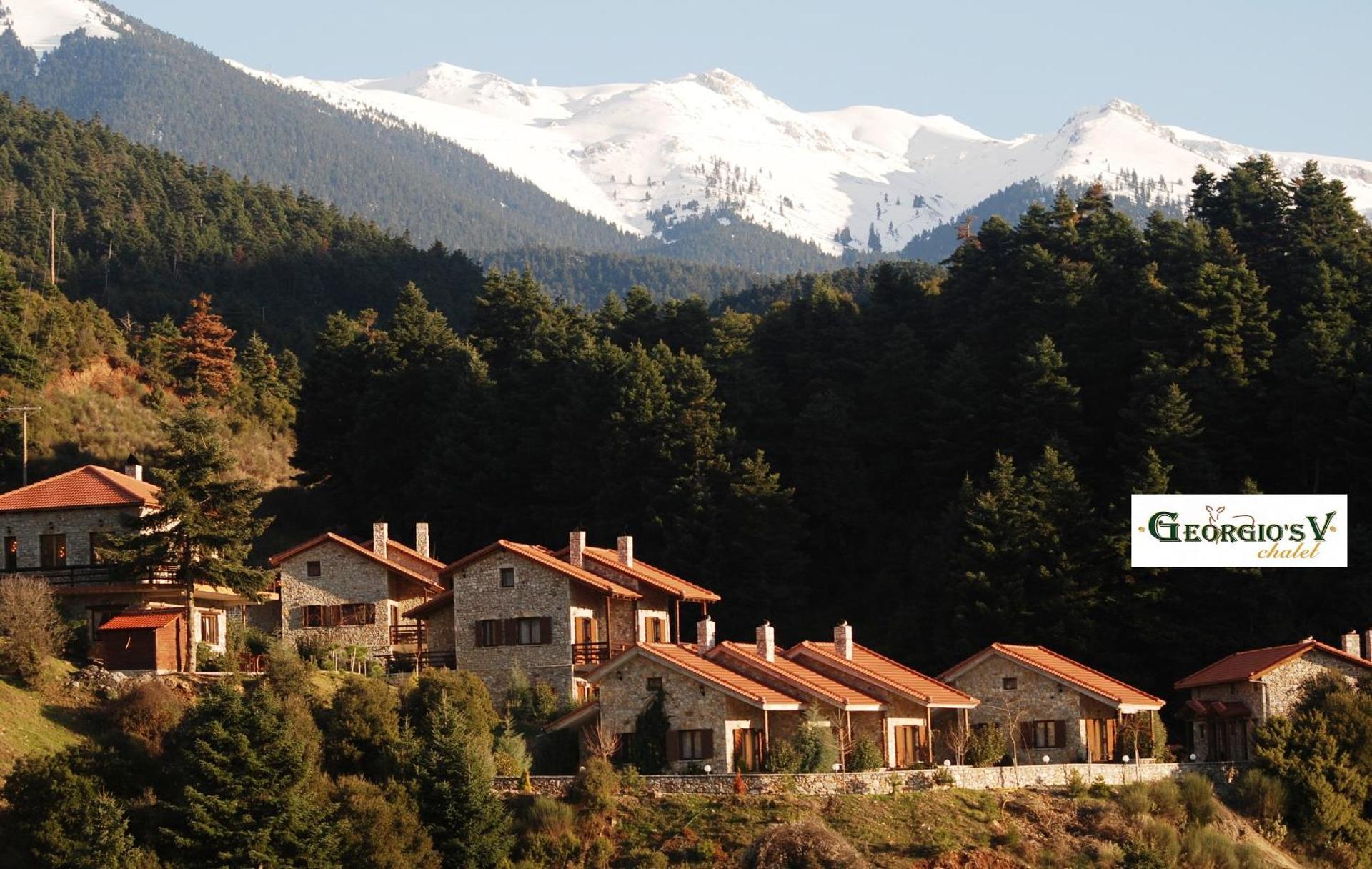 Georgio's V Chalet Kalavrita - Photo 29