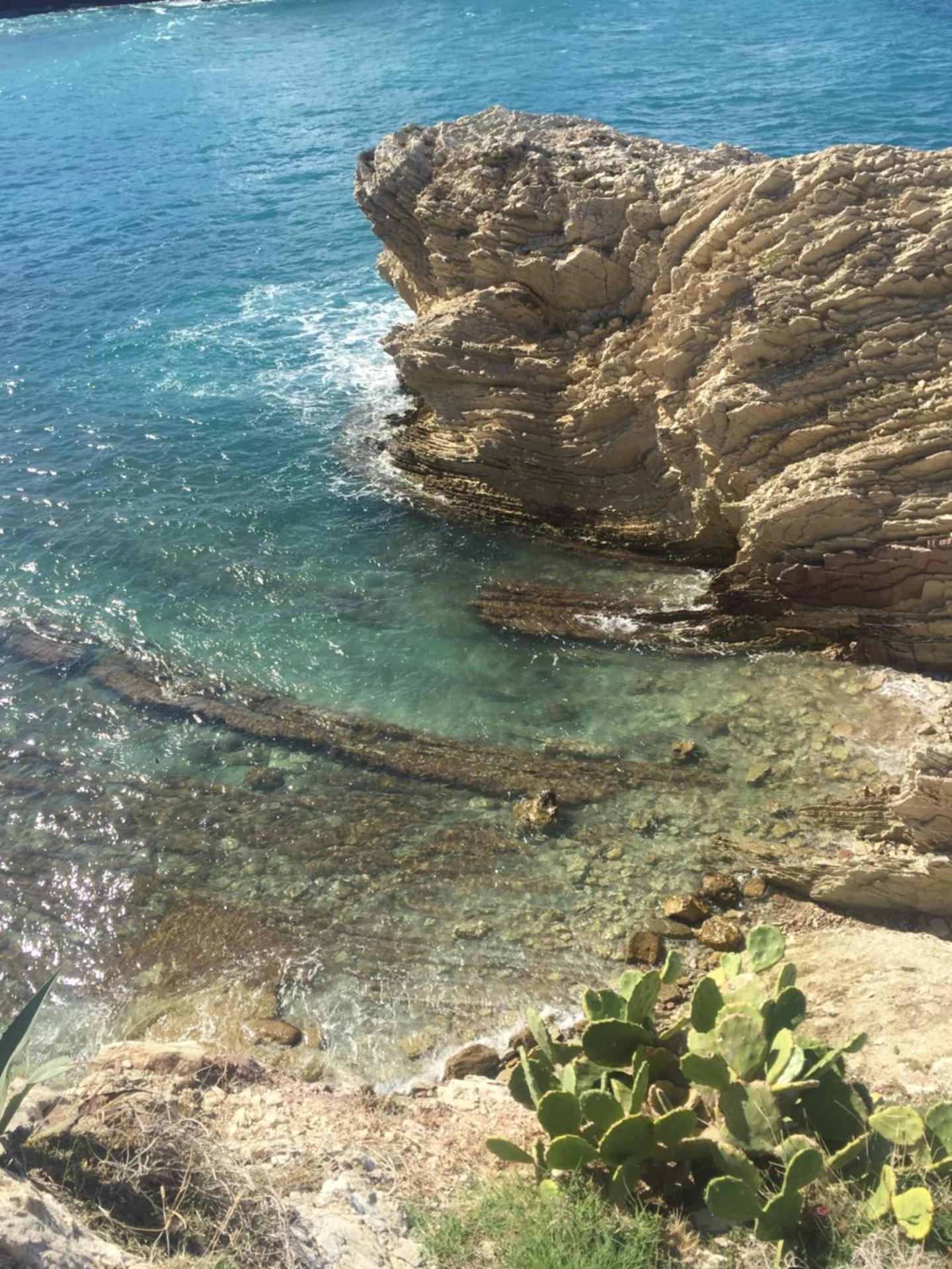 Case Saniela - Photo 24