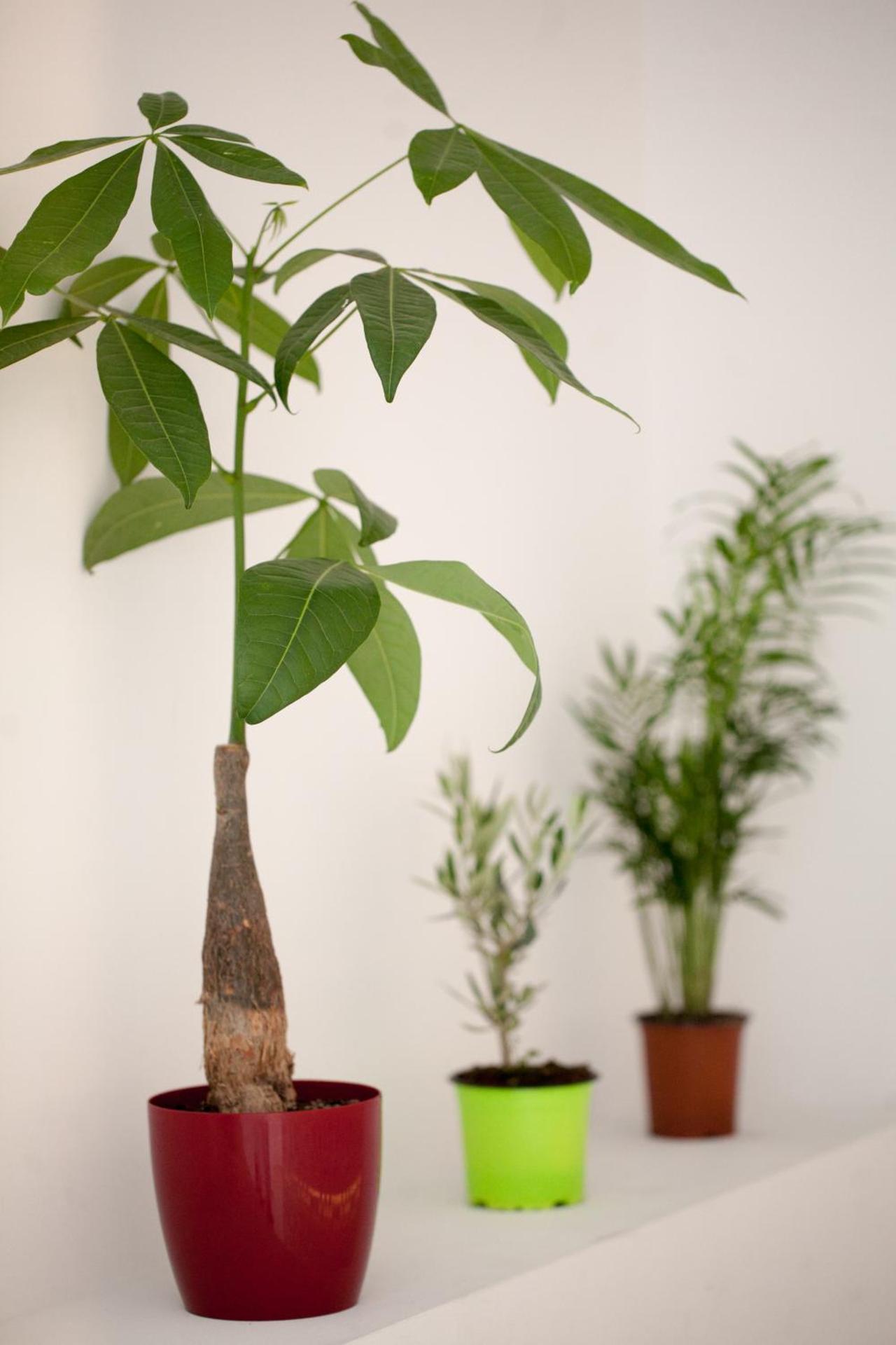 Athens Cypria Hotel - Photo 136