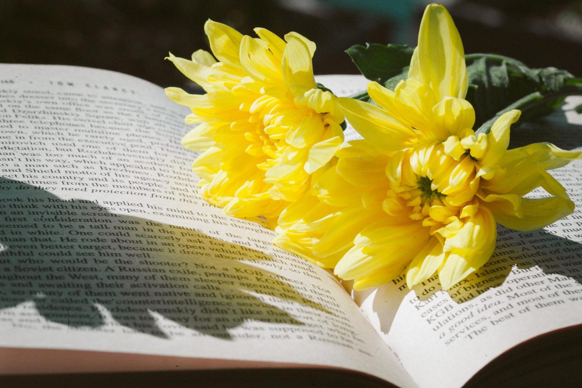 Athens Cypria Hotel - Photo 137