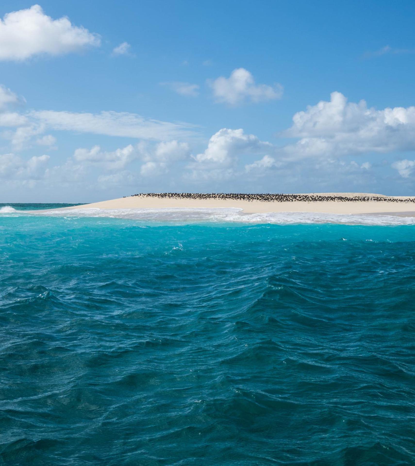 Hotel Maharajah - Photo 22