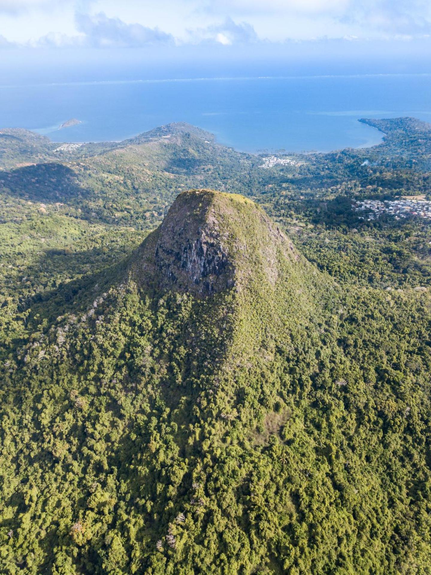 Hotel Maharajah - Photo 4