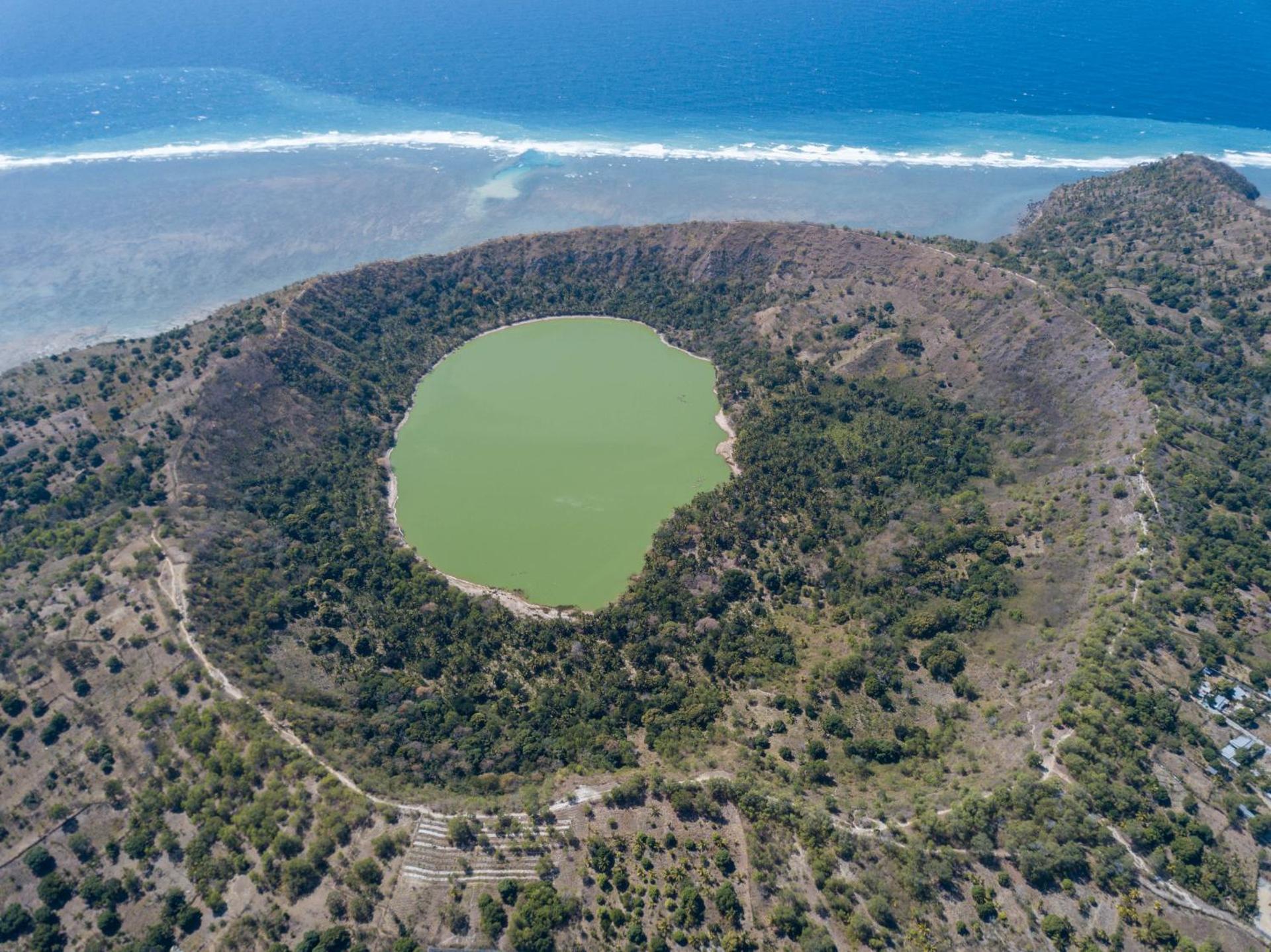 Hotel Maharajah - Photo 19