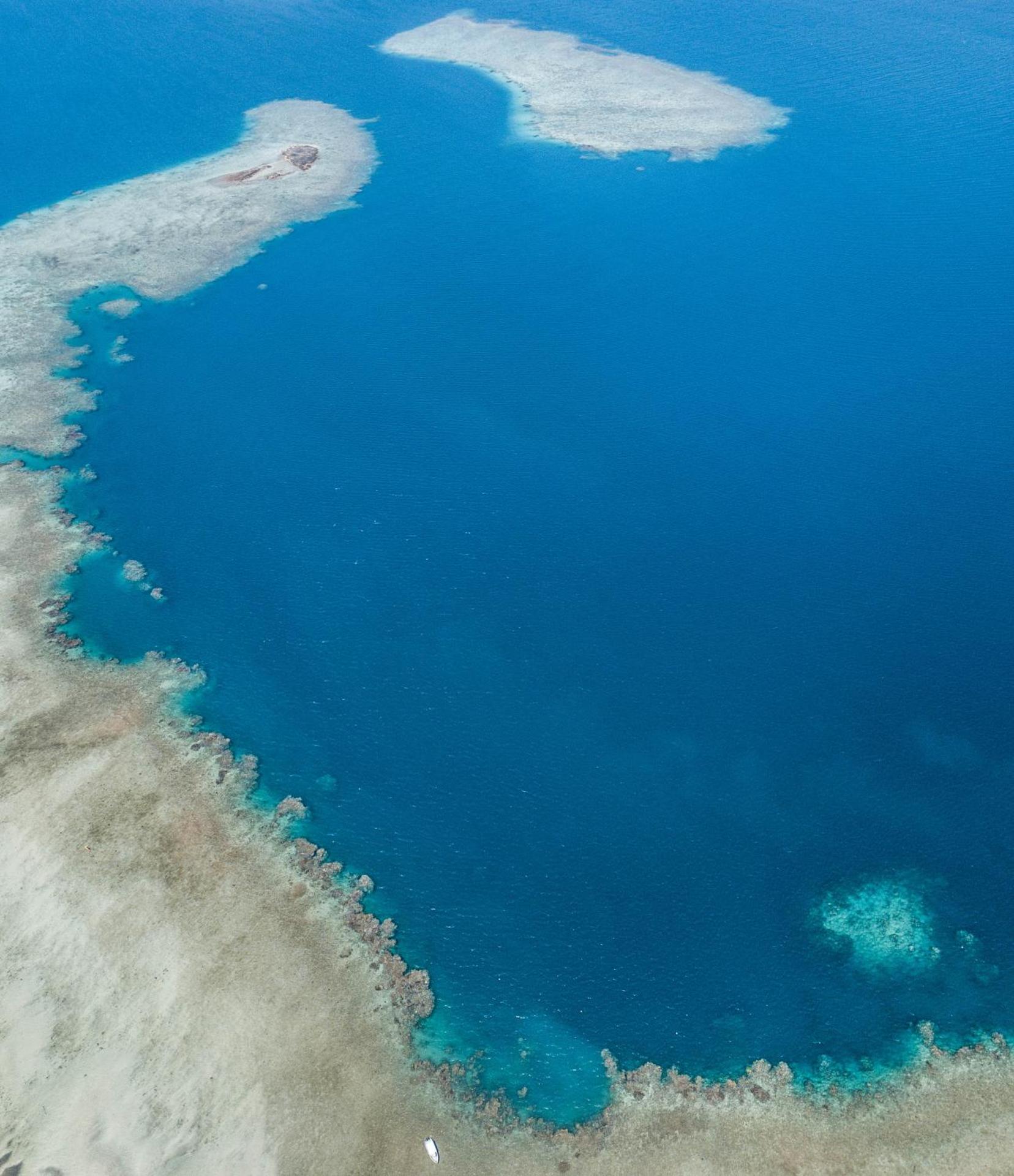 Hotel Maharajah - Photo 16