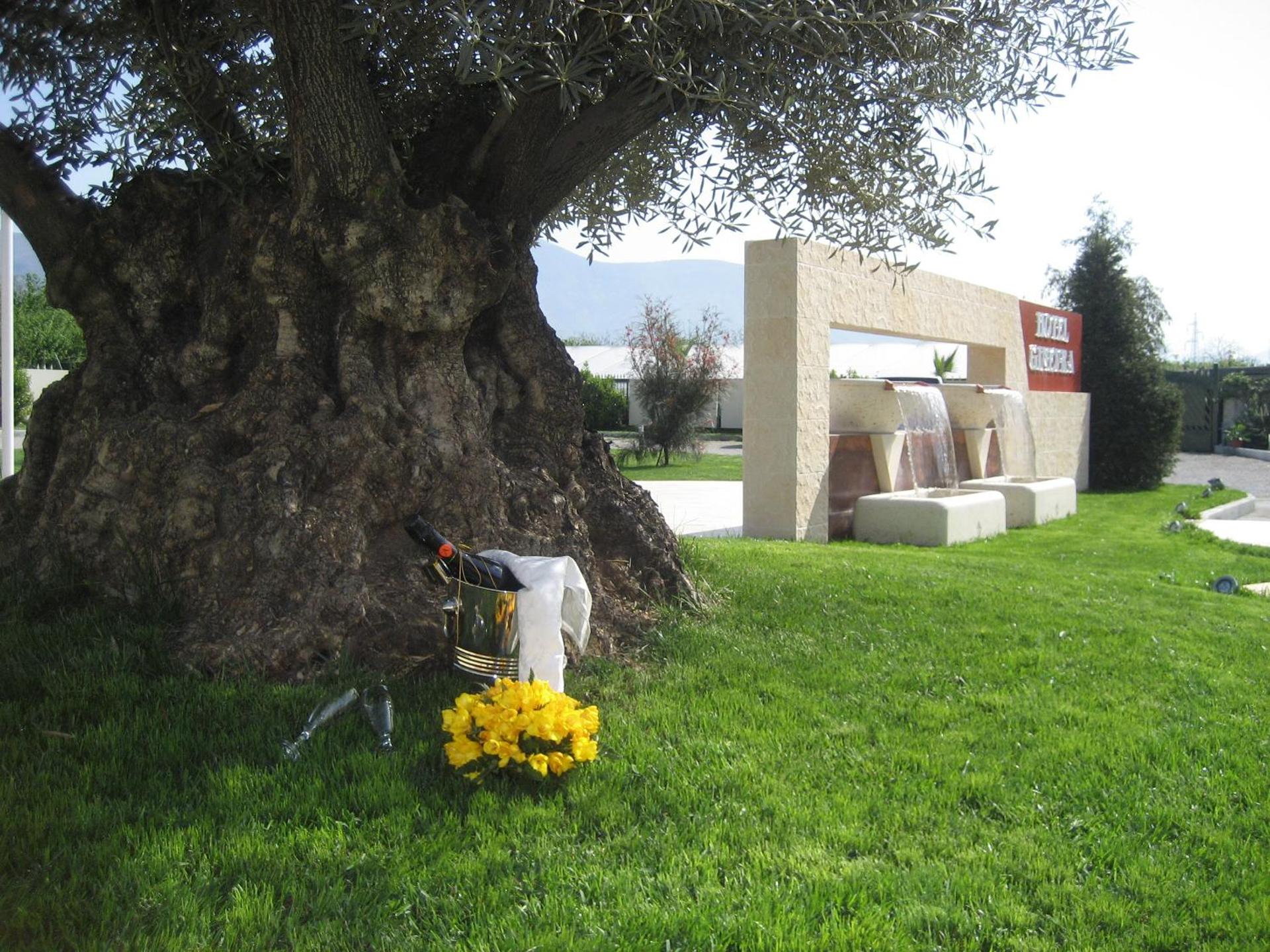 Hotel Ginevra - Photo 6