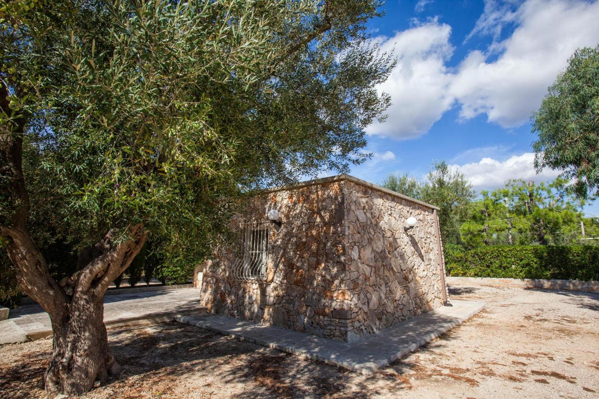 Masseria Tenuta Specolizzi - Photo 47