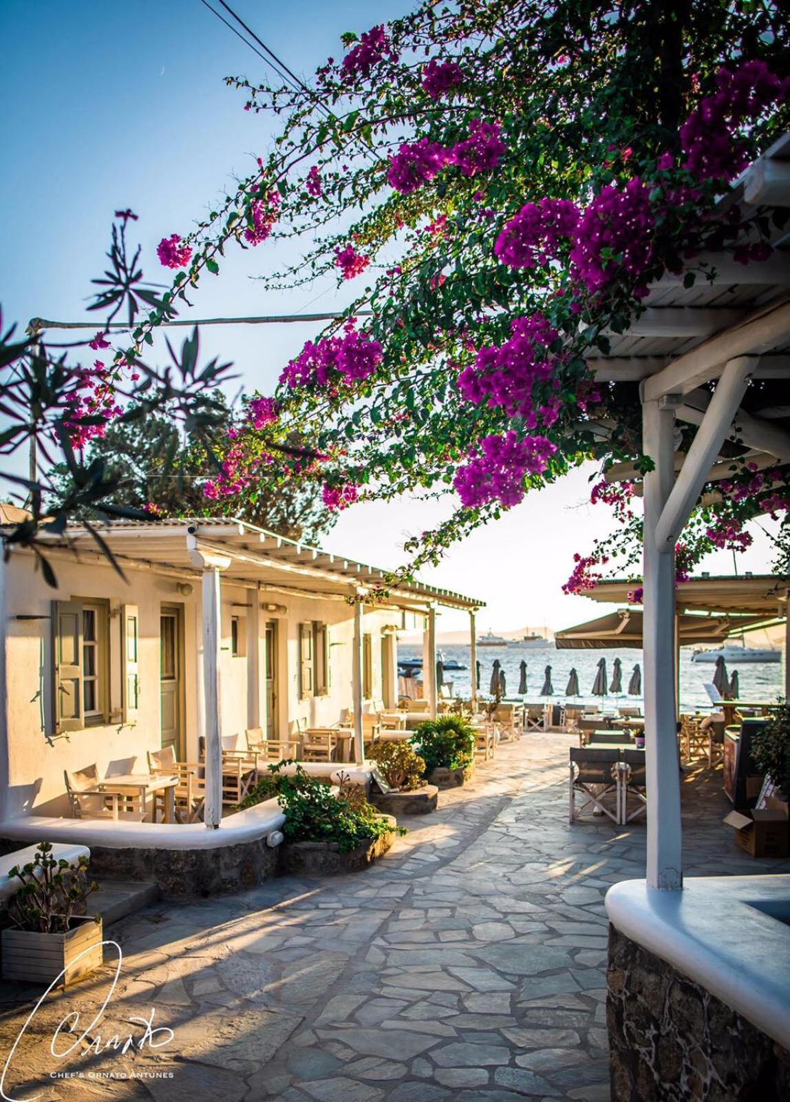 Agia Anna Beachfront Boutique - Photo 49