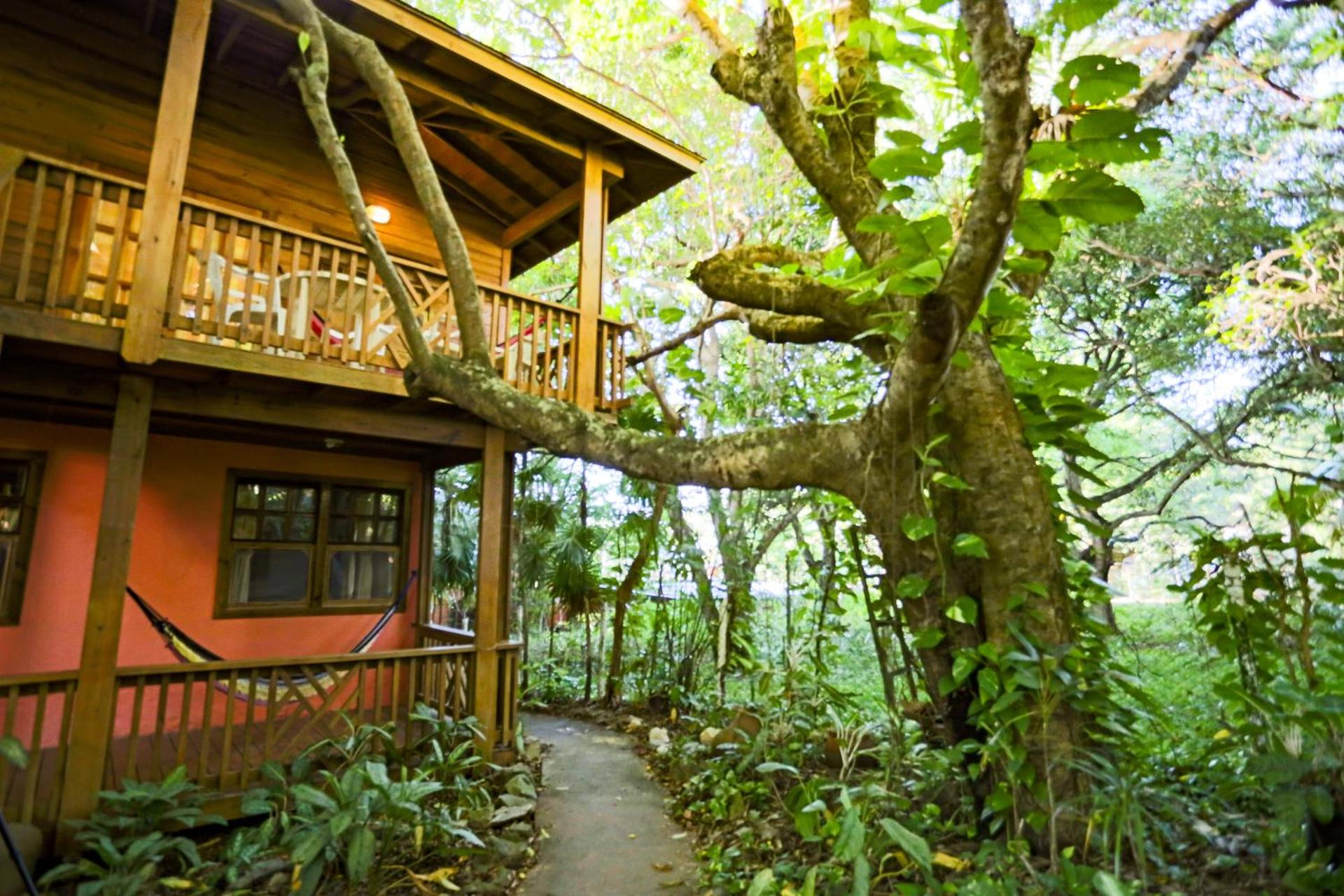 Posada Arco Iris, West End - Photo 53