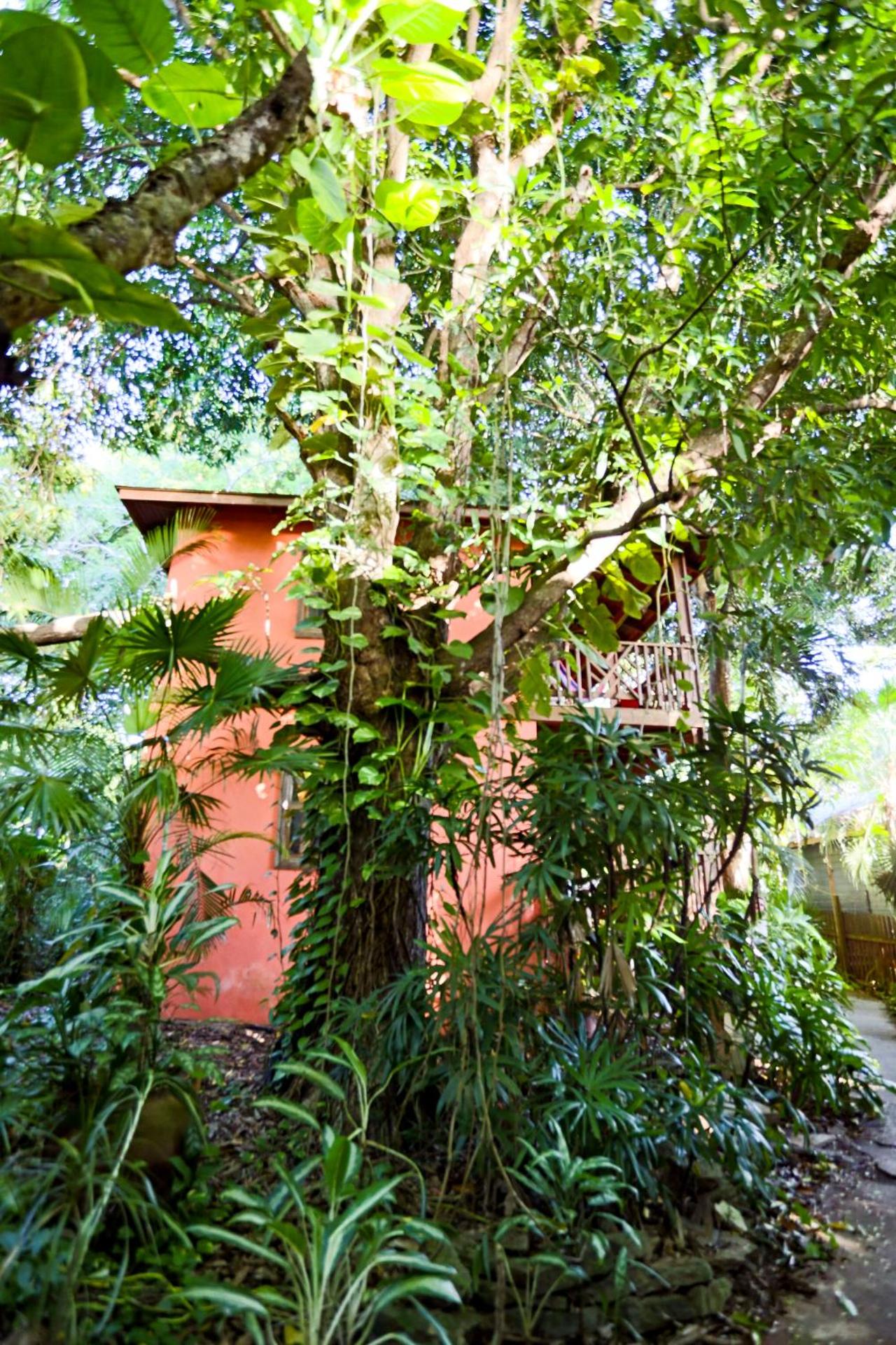 Posada Arco Iris, West End - Photo 54