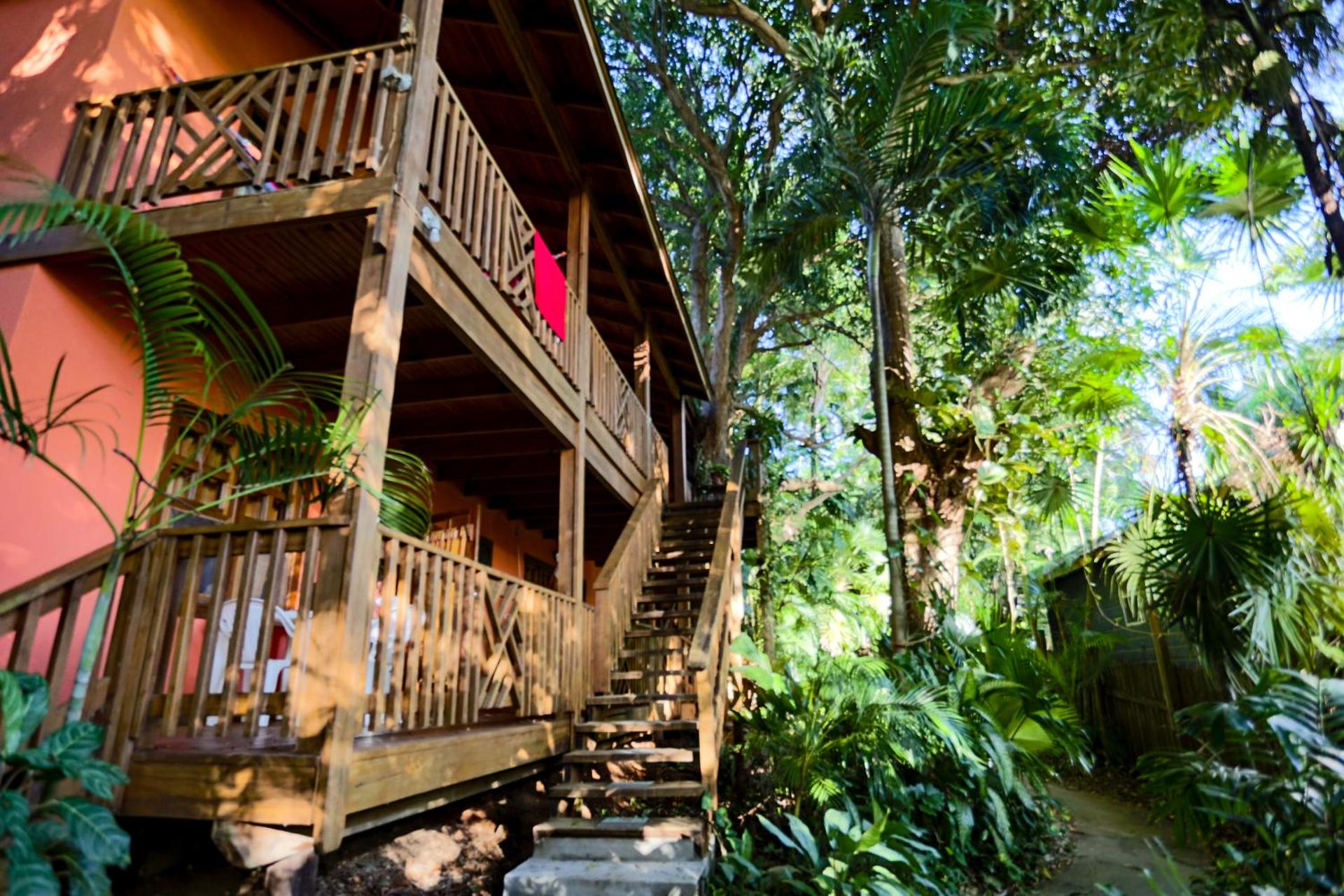 Posada Arco Iris, West End - Photo 46