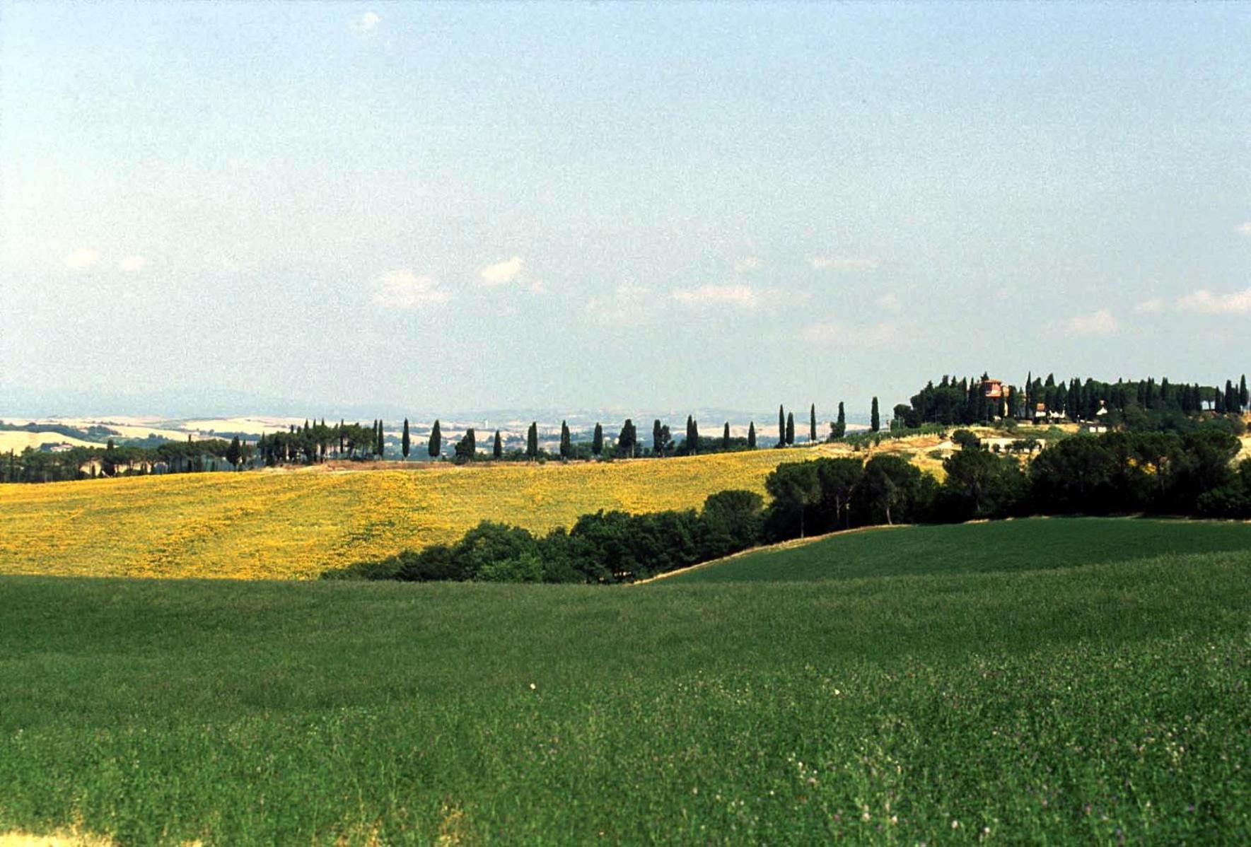 Agriturismo Pieve Sprenna - Photo 91