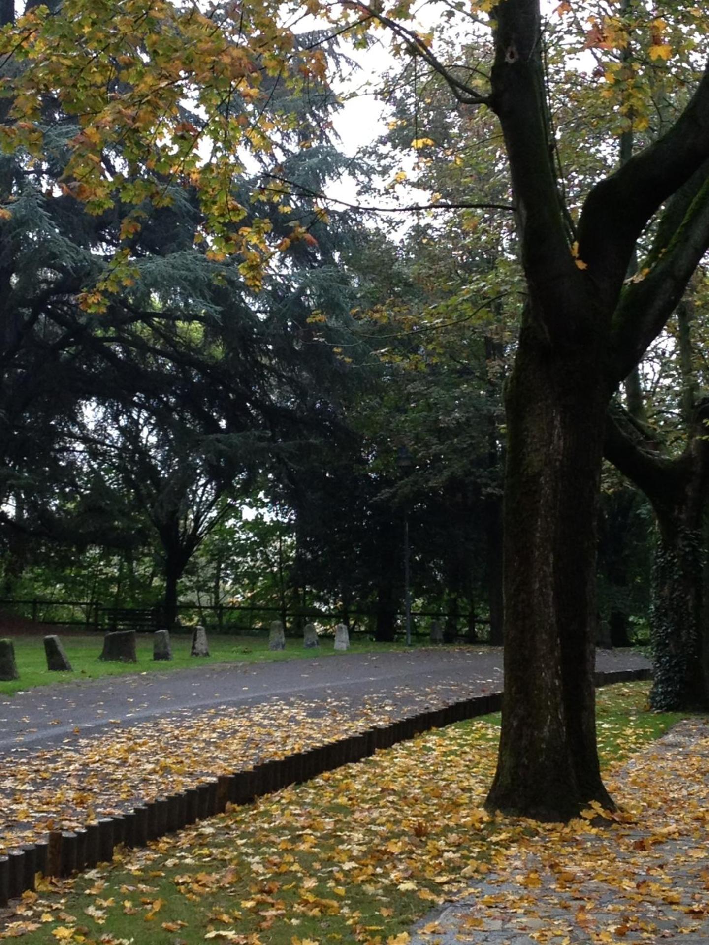 Casa Cuniolo Guest House - Photo 27