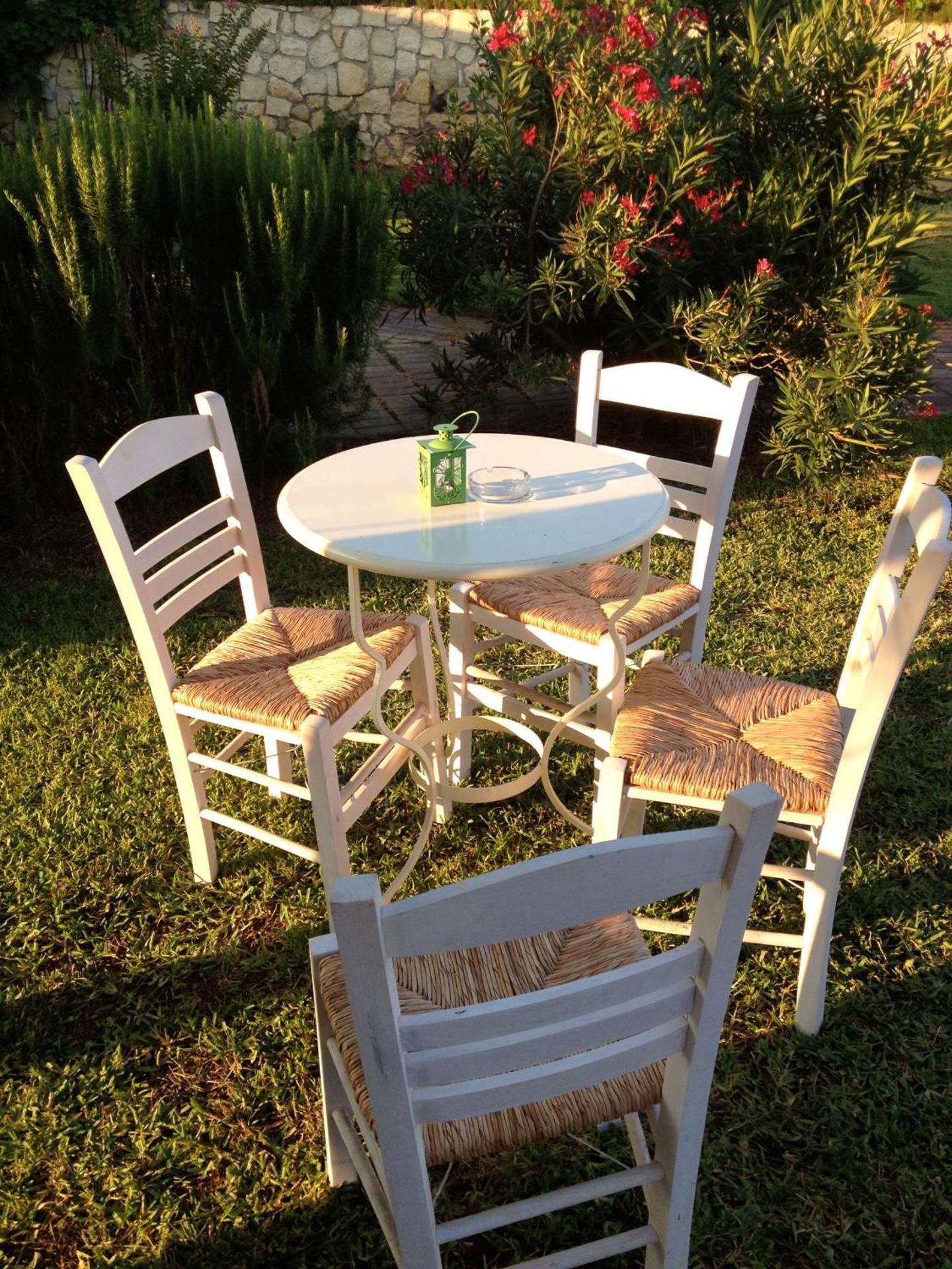 Dendrolivano - Photo 26