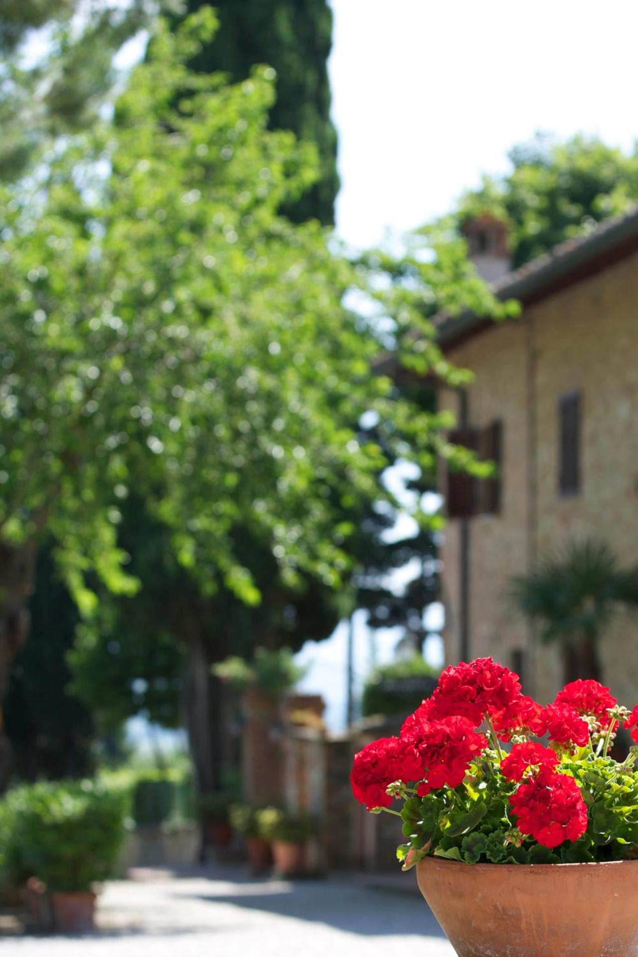 Il Casale Del Cotone - Photo 84