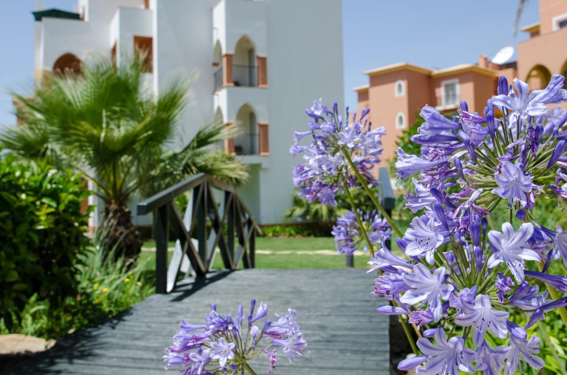 Jardim da Meia Praia Resort - Photo 10