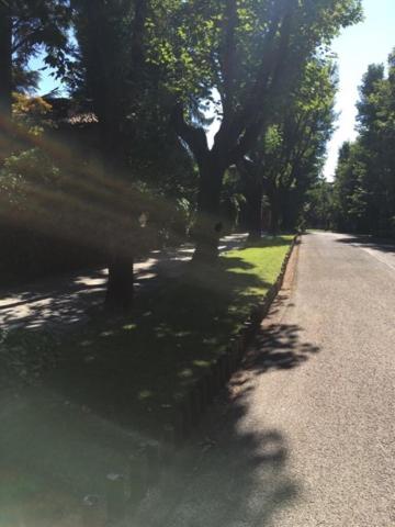 Casa Cuniolo Guest House - Photo 14