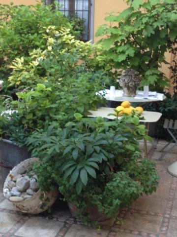 Albergo Residence Perosi - Photo 14