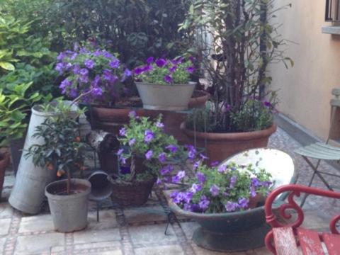 Albergo Residence Perosi - Photo 13