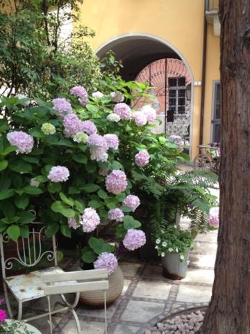 Albergo Residence Perosi - Photo 5