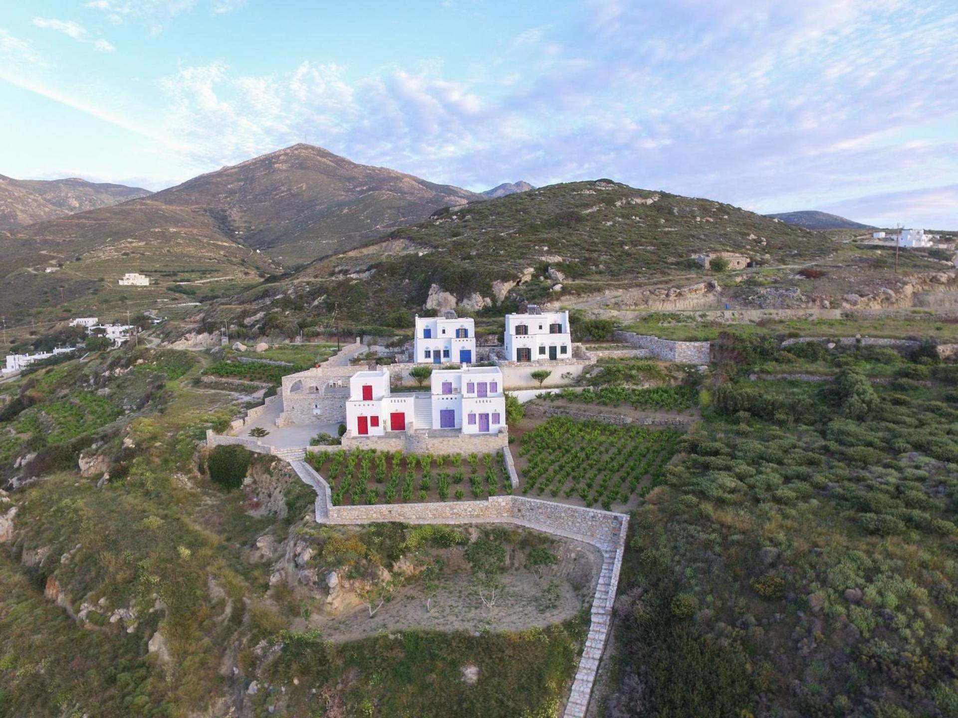 Villa Athina - Photo 191