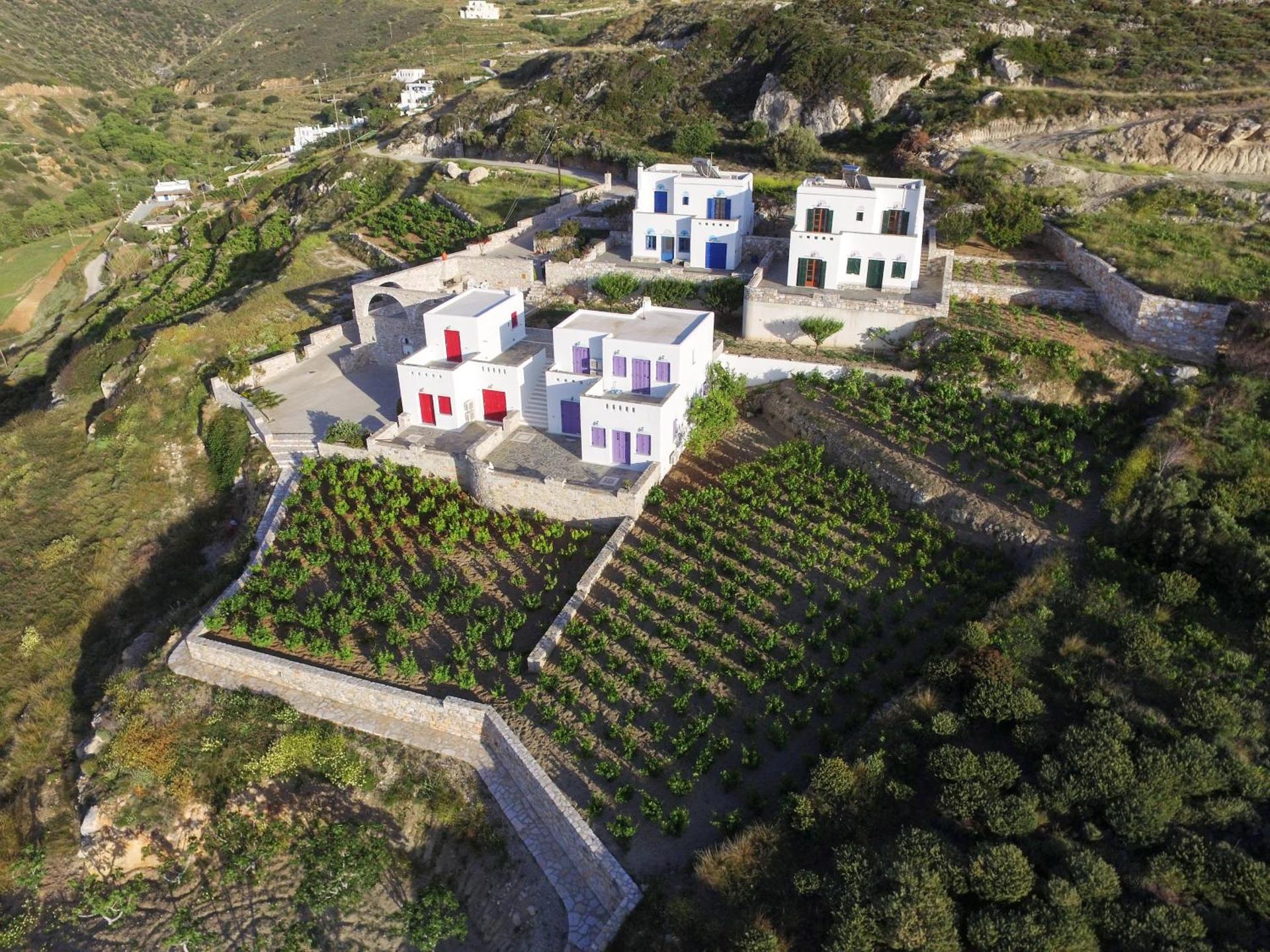 Villa Athina - Photo 193