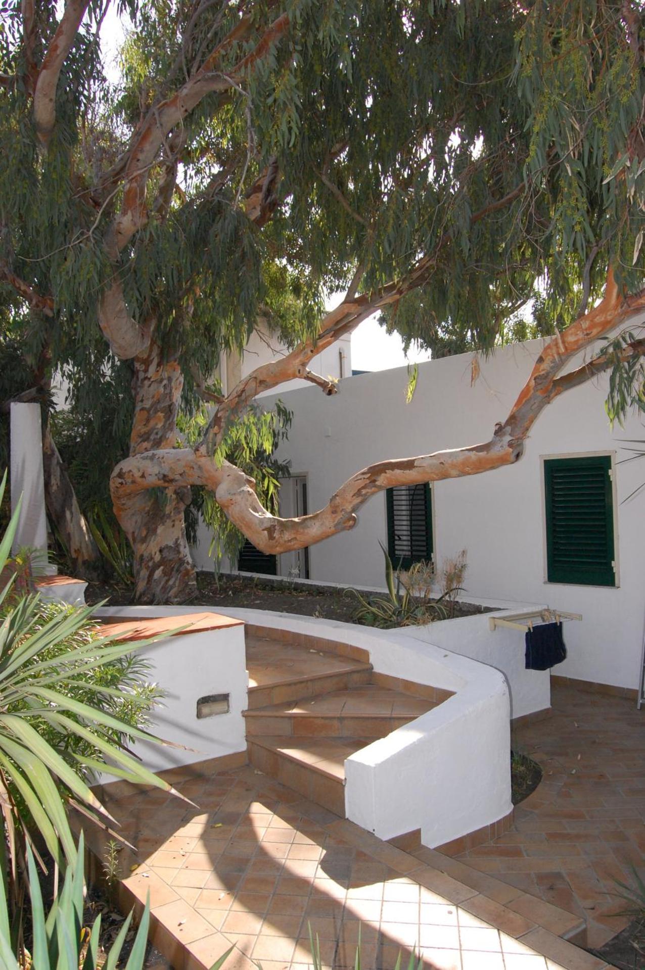 Hotel Conti - Photo 20