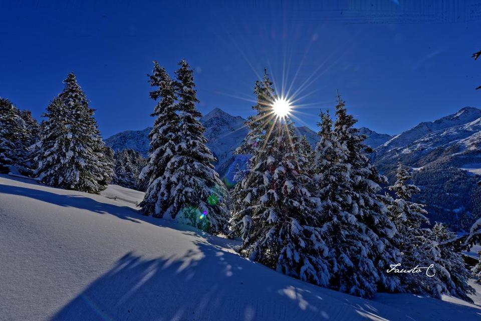 Casa dello Sciatore - Photo 24