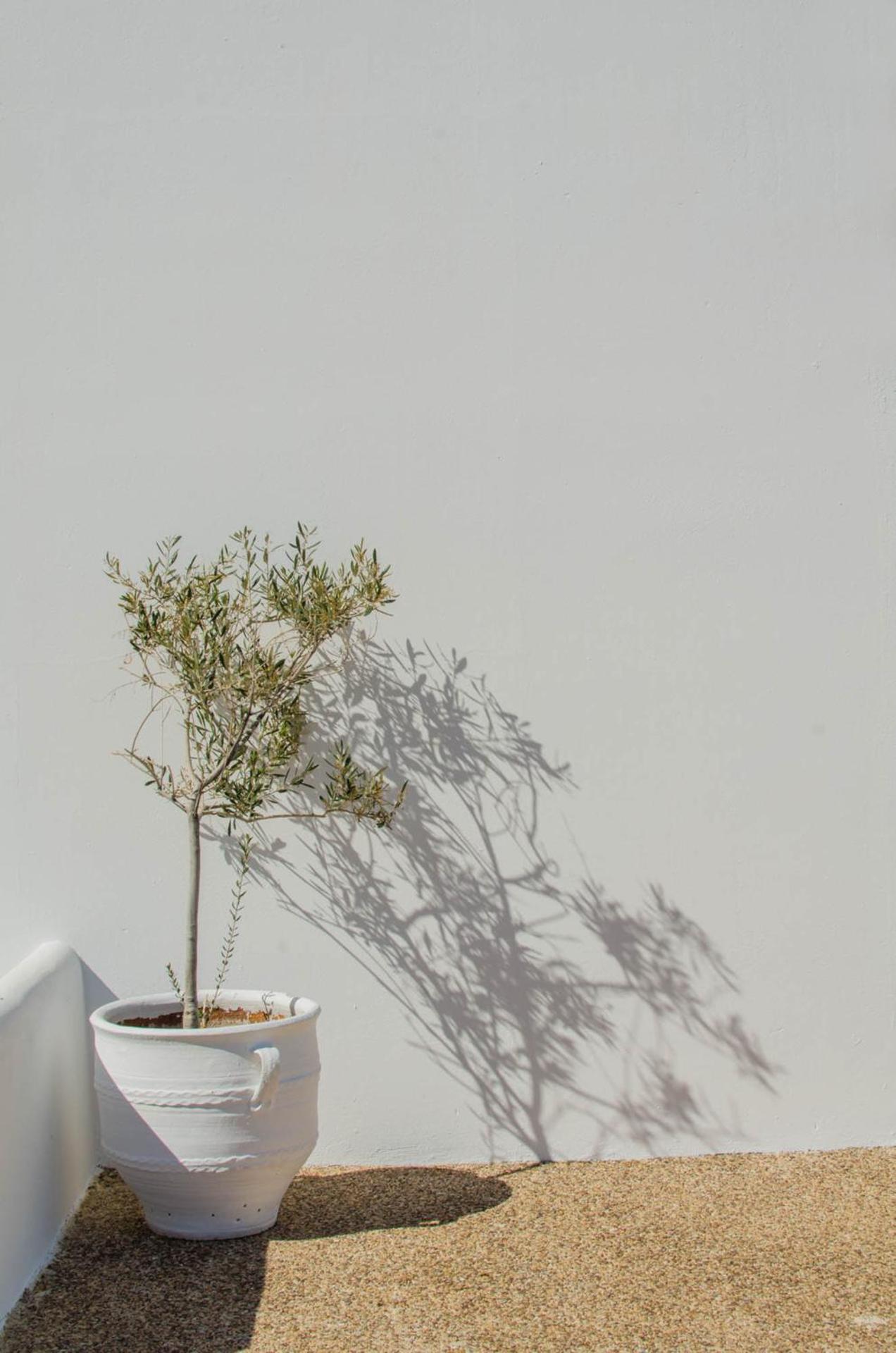 Levantes Ios Boutique Hotel - Photo 125