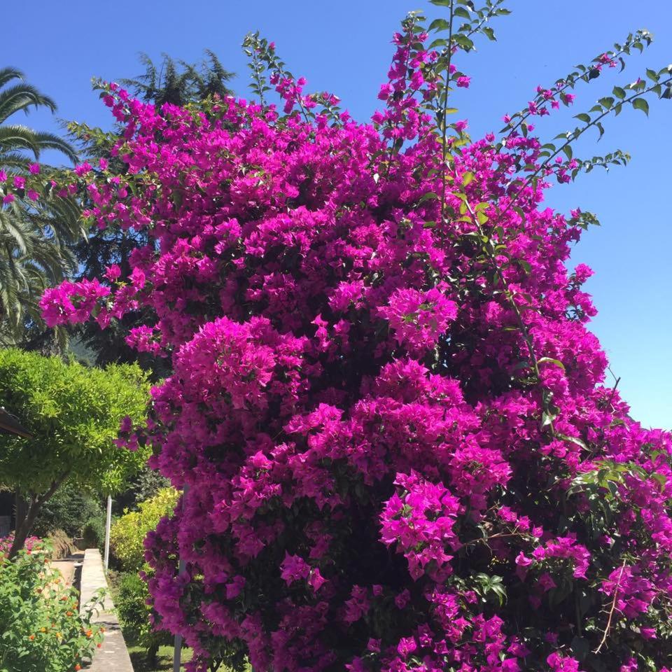 Relais Montepepe Winery & Spa - Photo 107