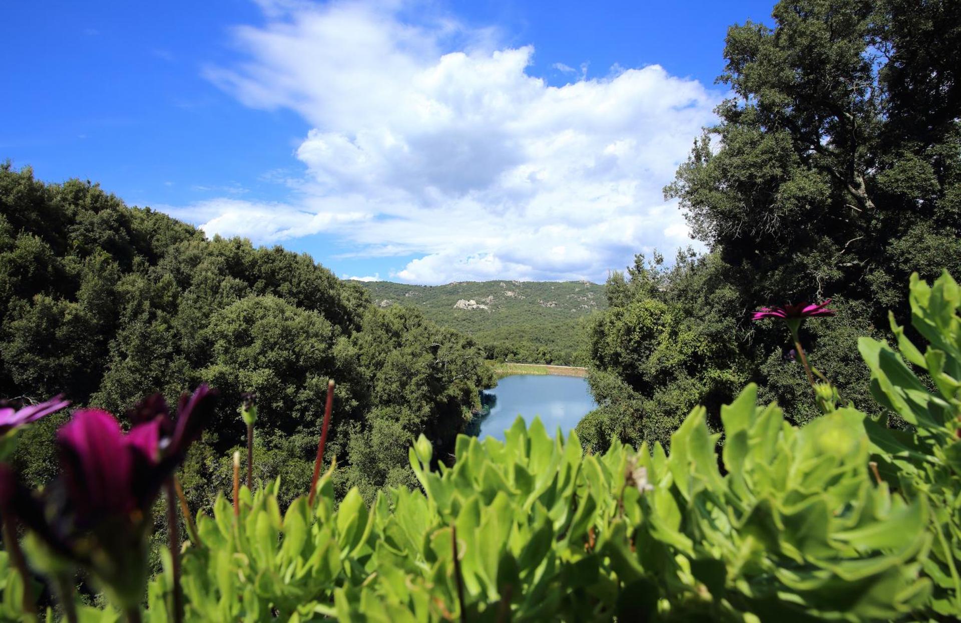 L'Agnata di De André Boutique Hotel - Photo 14