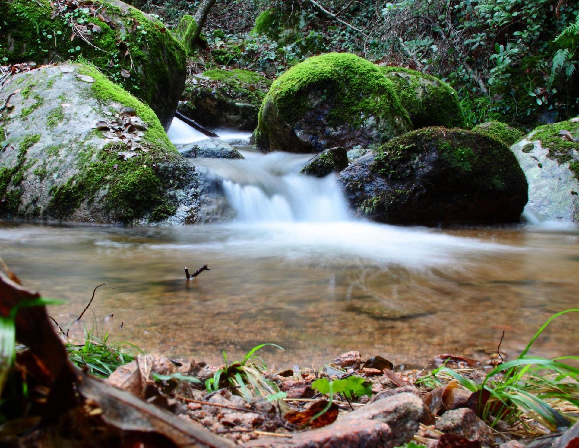 L'Agnata di De André Boutique Hotel - Photo 6