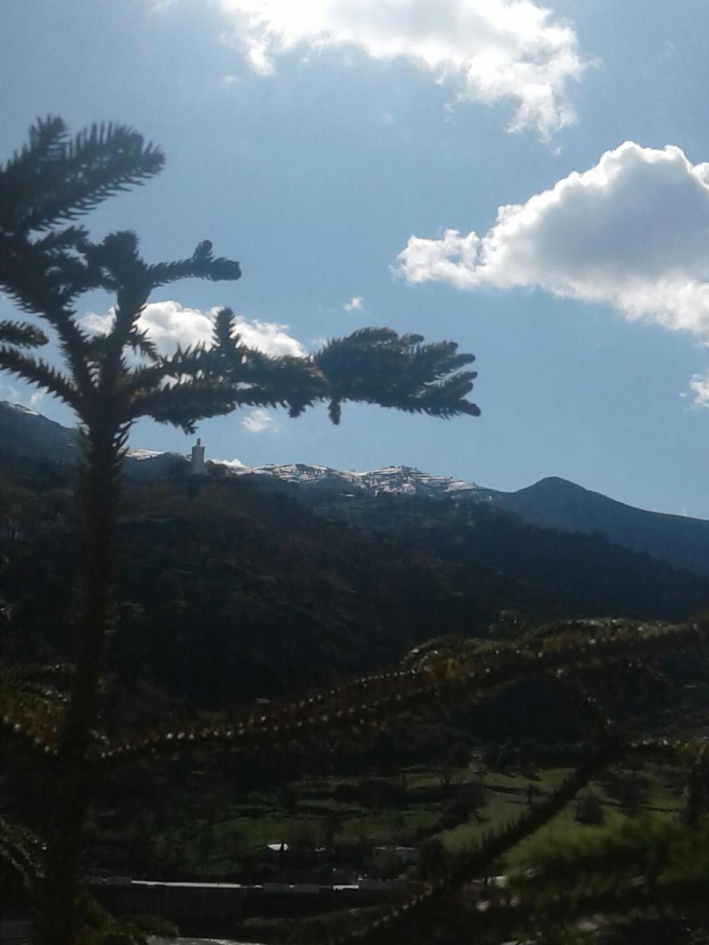 Dar Lbakal - Photo 104