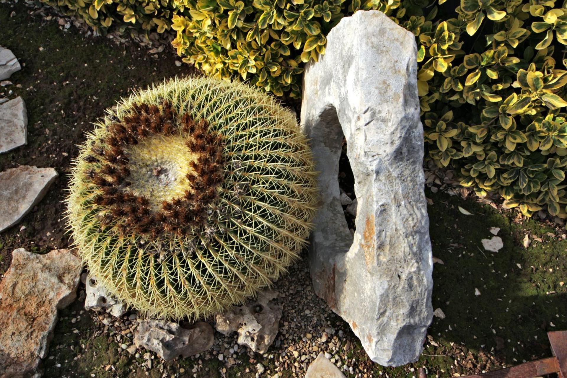 B&B La Rosa Blu - Photo 83