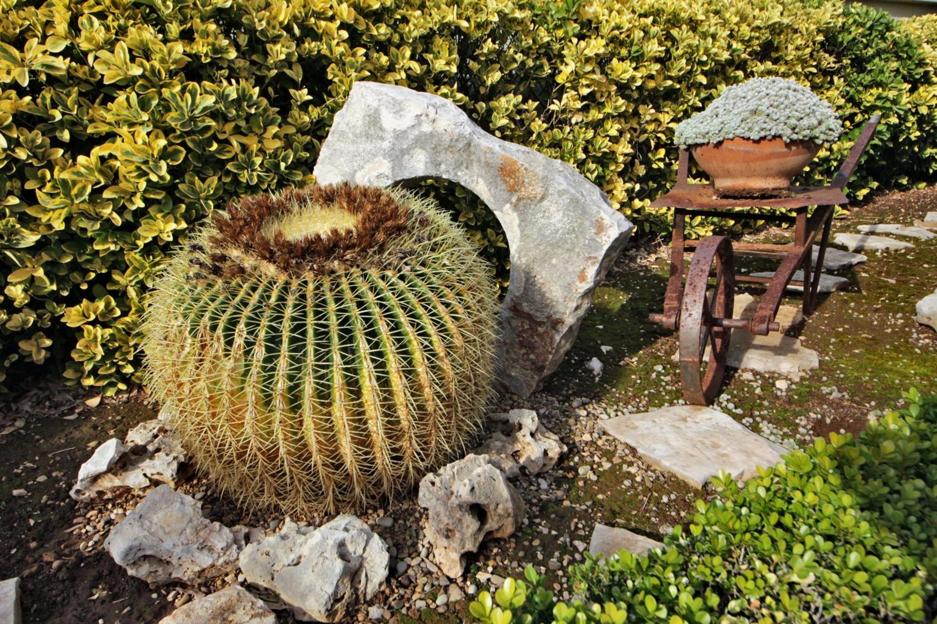 B&B La Rosa Blu - Photo 74