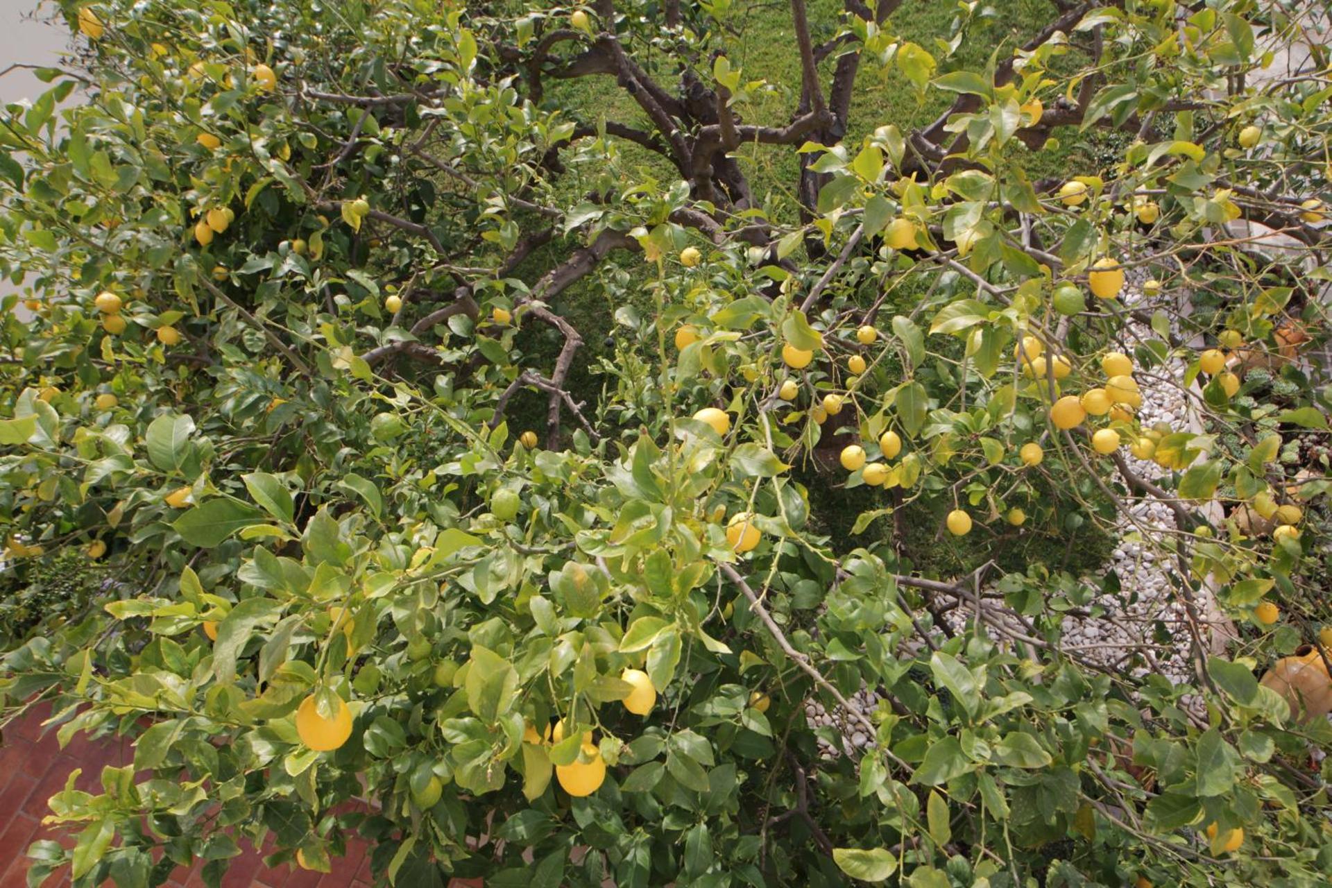 B&B La Rosa Blu - Photo 73