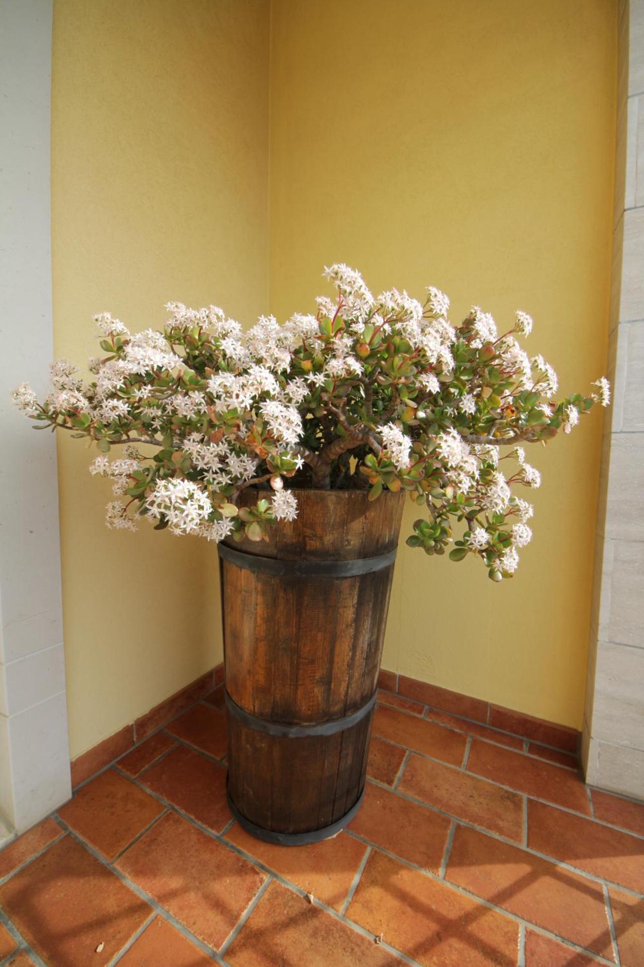 B&B La Rosa Blu - Photo 70