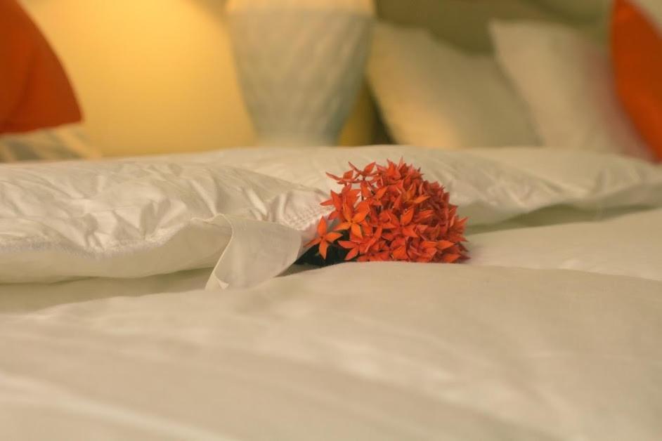 Sunset Shores Beach Hotel - Photo 38