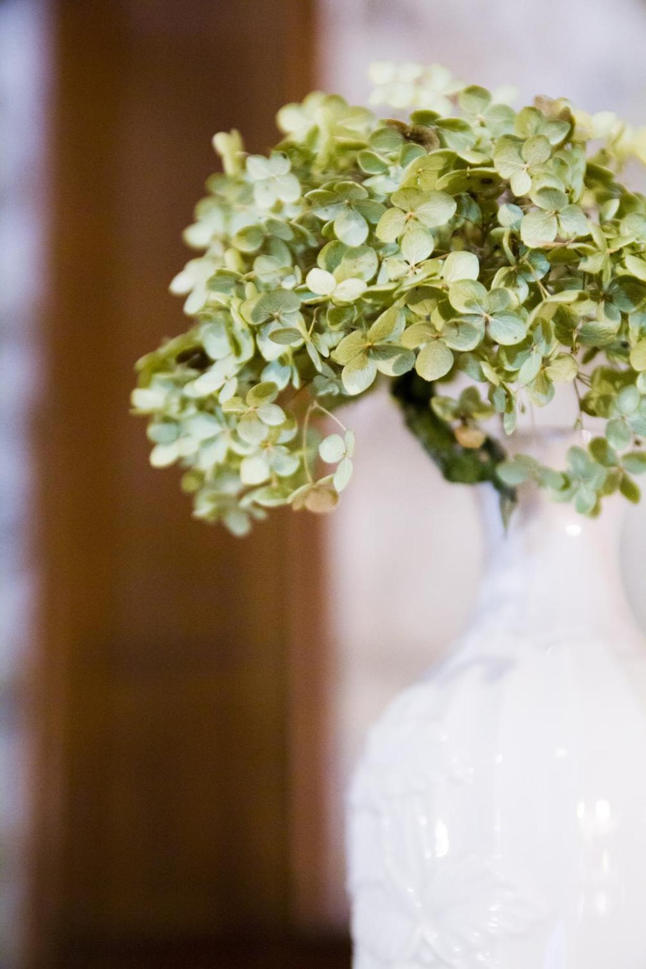 AGRITURISMO Case Catalano - Photo 104