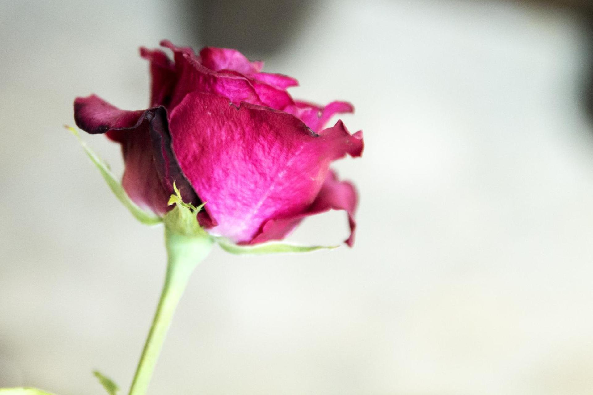 AGRITURISMO Case Catalano - Photo 26