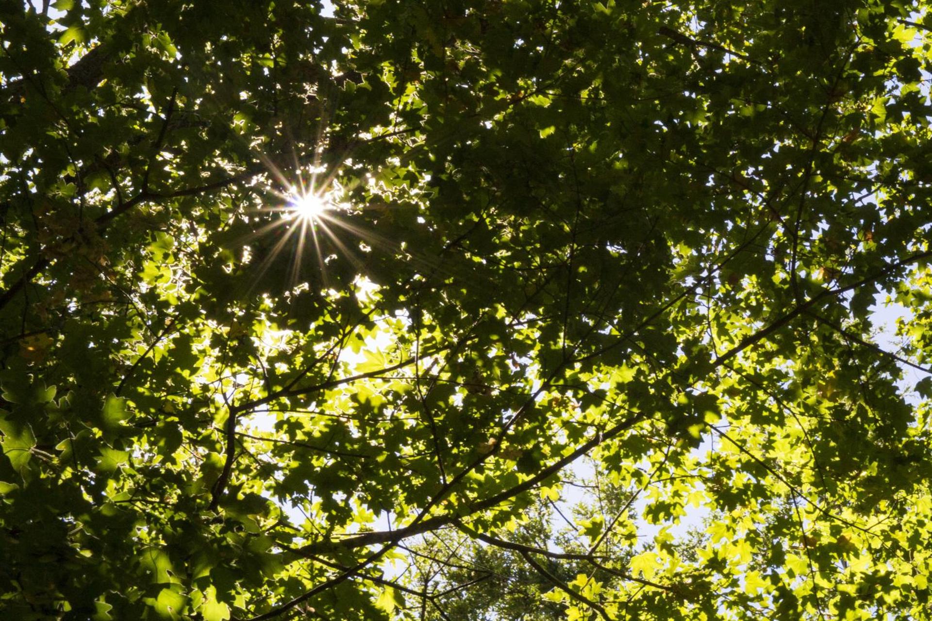 AGRITURISMO Case Catalano - Photo 223