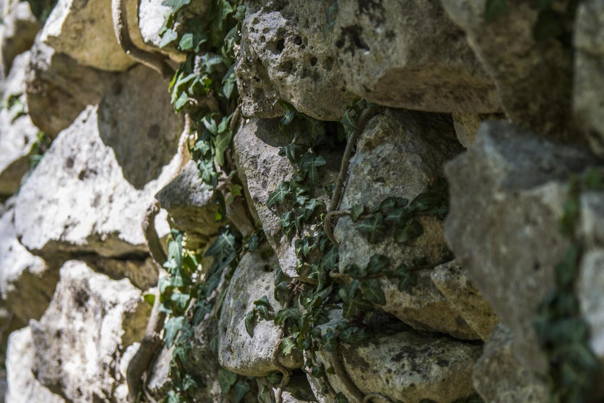 AGRITURISMO Case Catalano - Photo 224