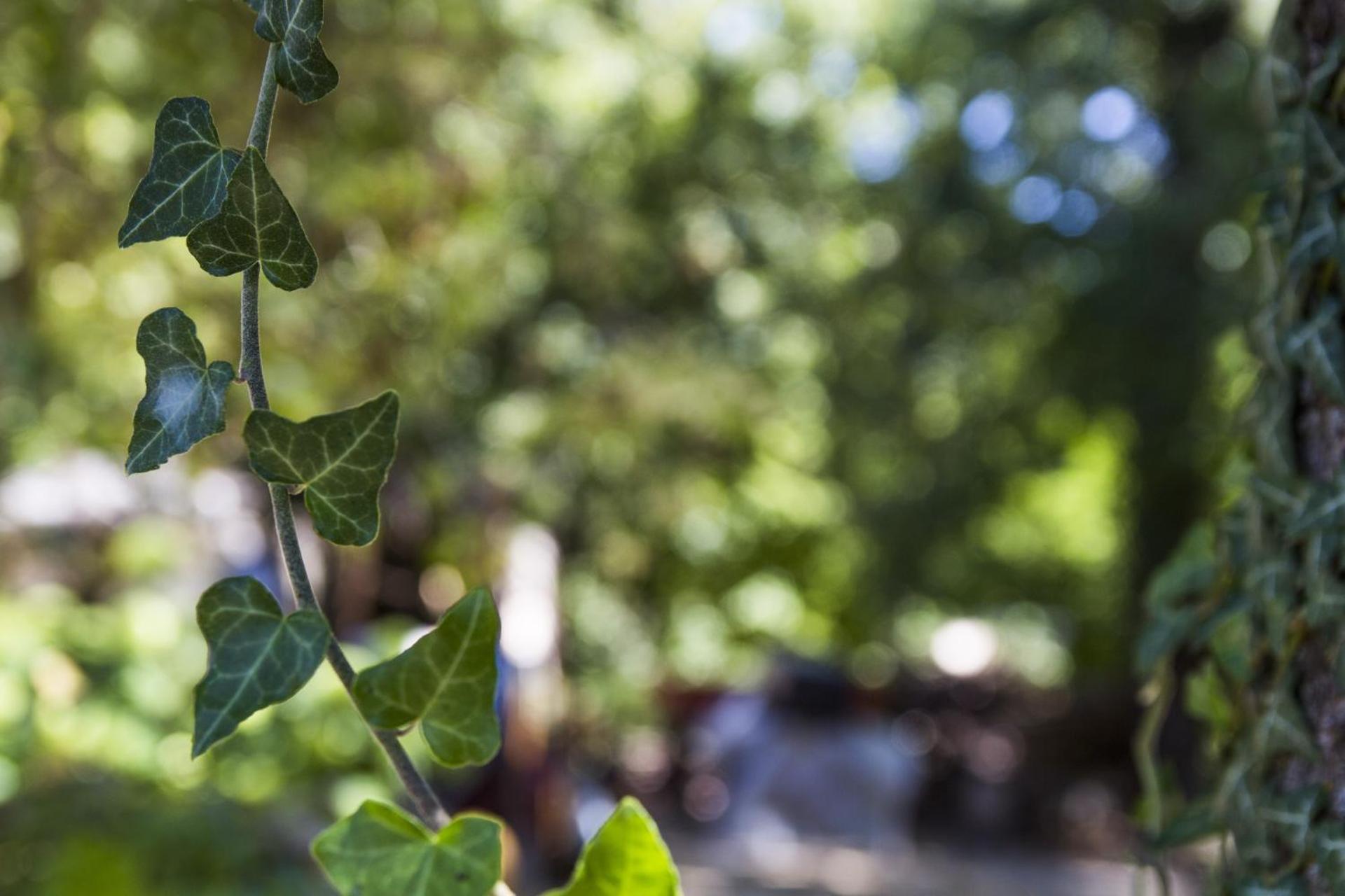 AGRITURISMO Case Catalano - Photo 227