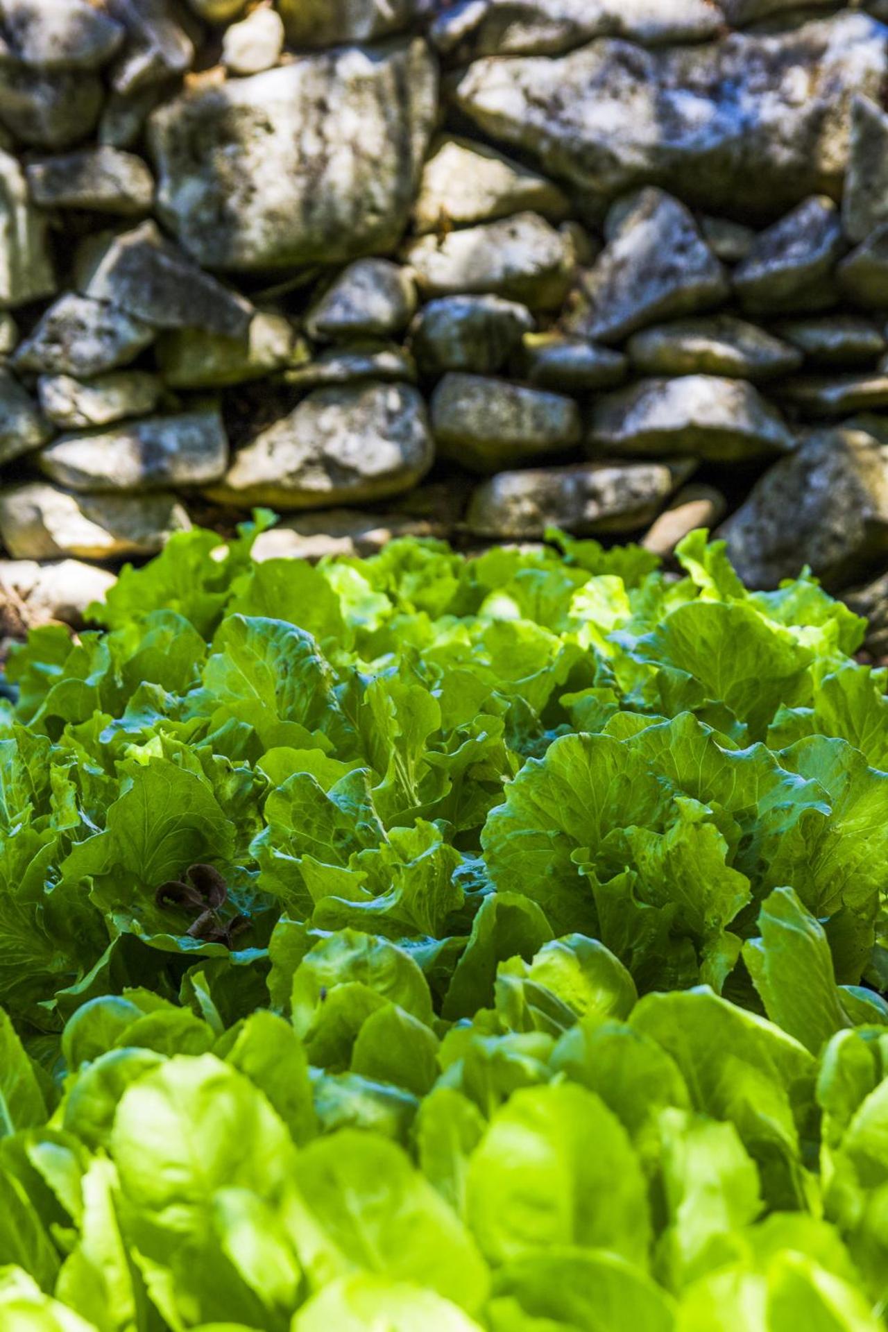 AGRITURISMO Case Catalano - Photo 228