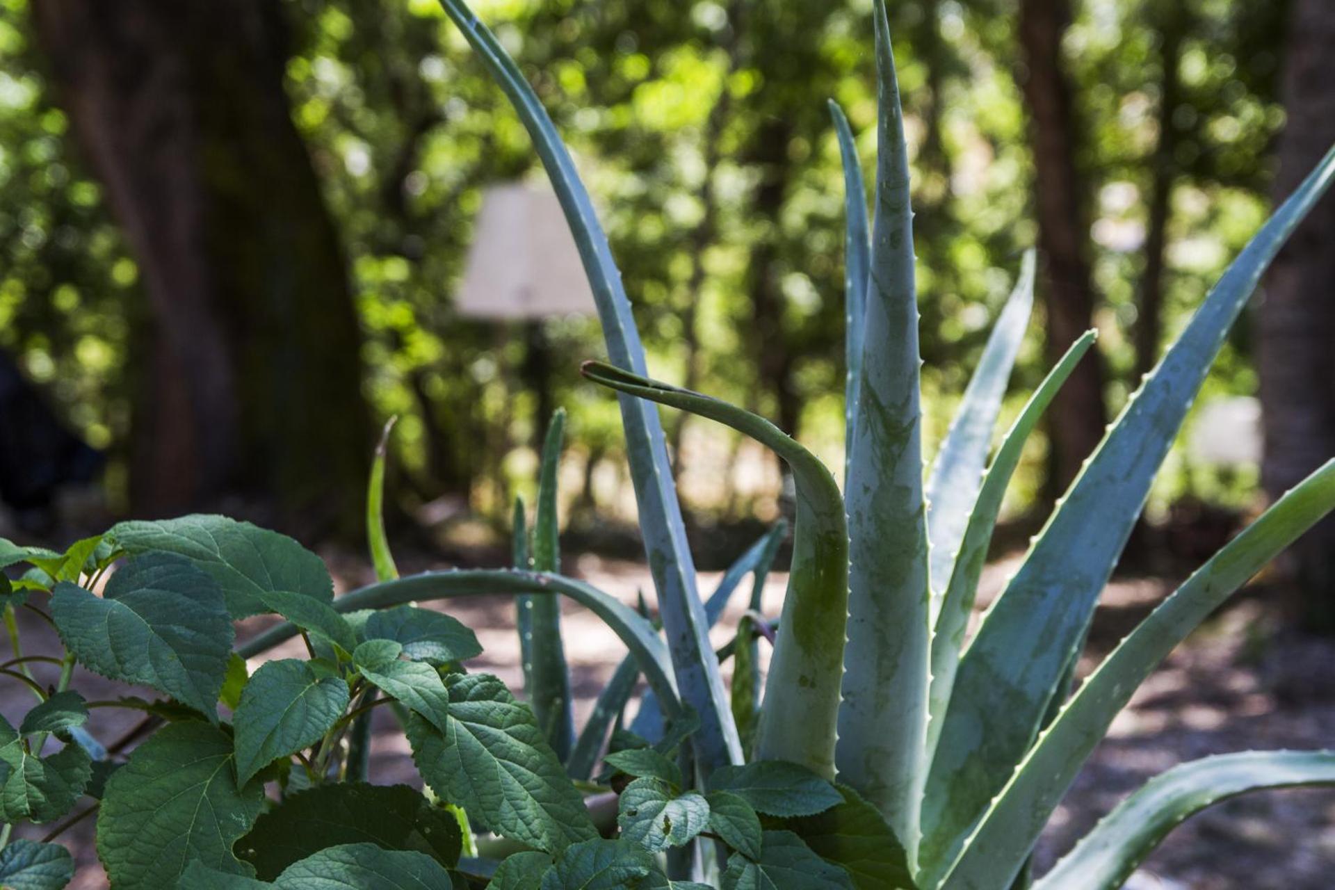 AGRITURISMO Case Catalano - Photo 229