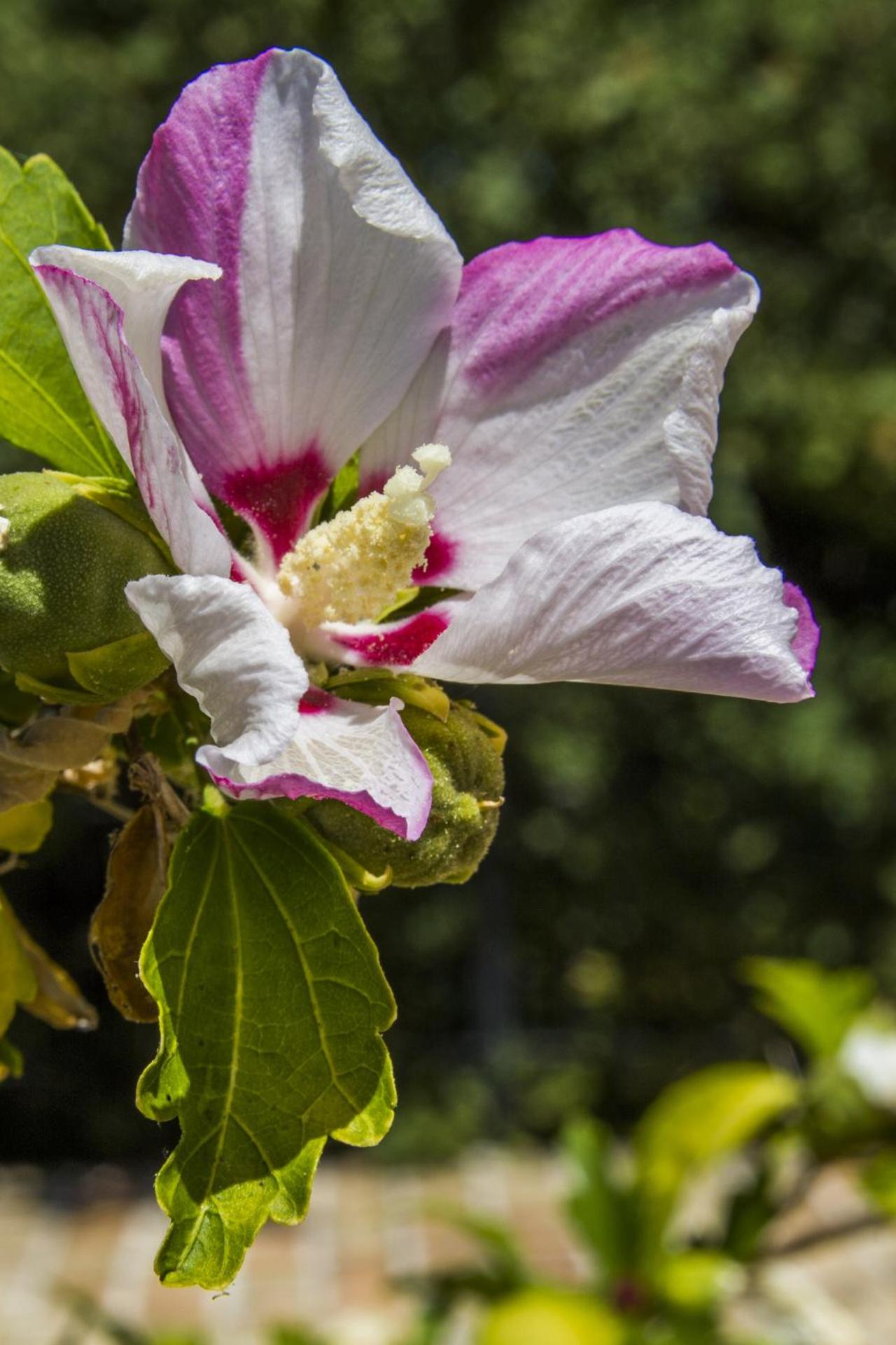 AGRITURISMO Case Catalano - Photo 230