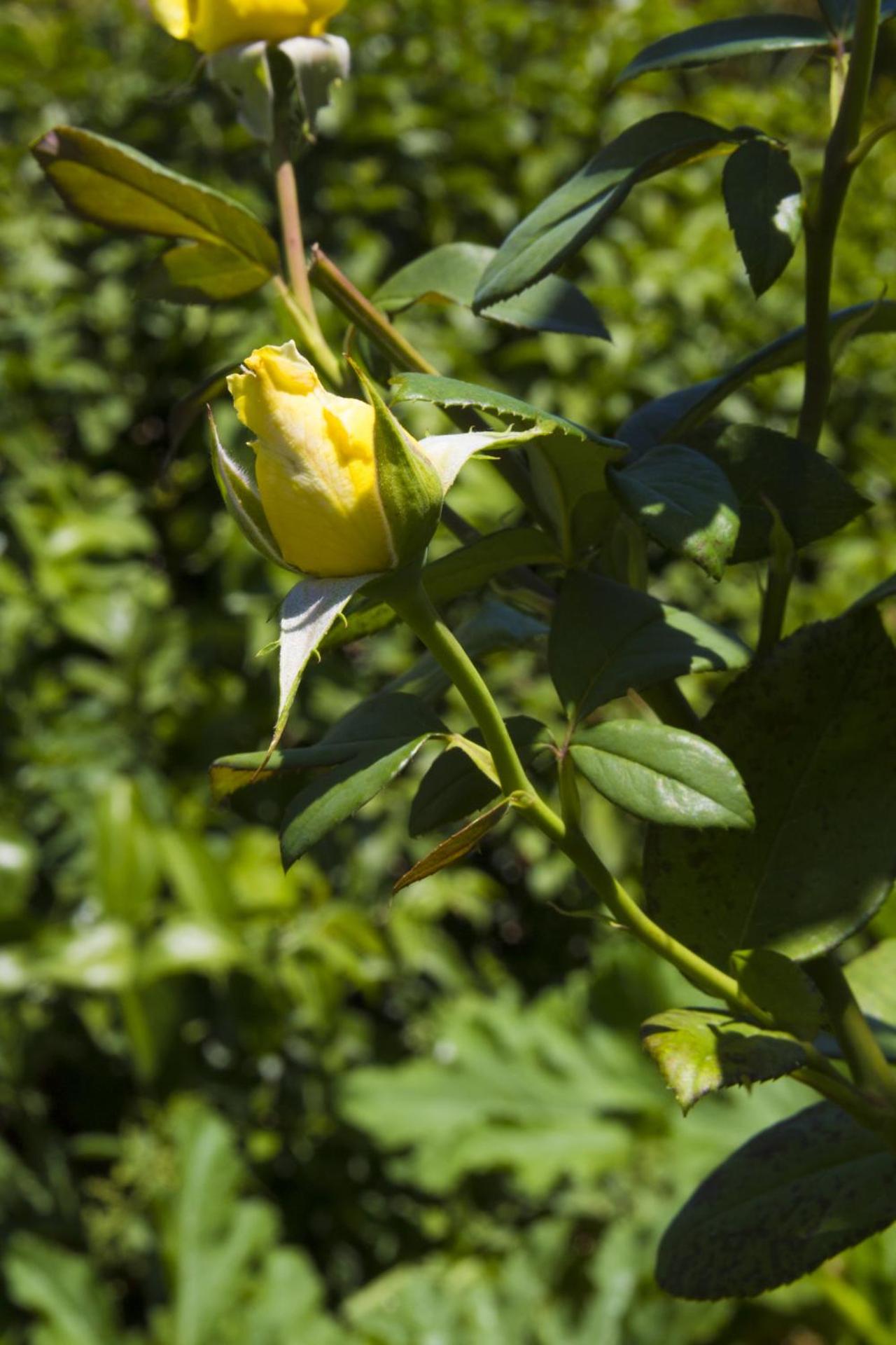 AGRITURISMO Case Catalano - Photo 239