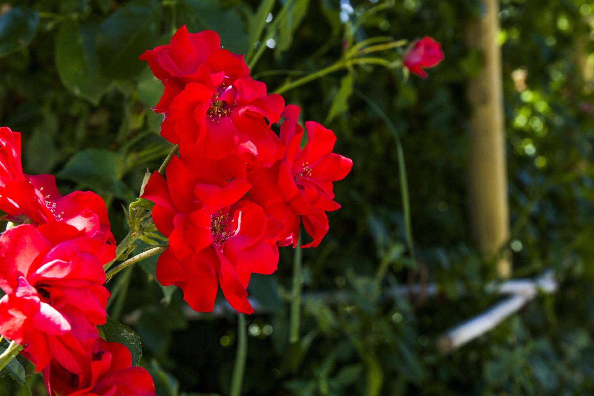 AGRITURISMO Case Catalano - Photo 240