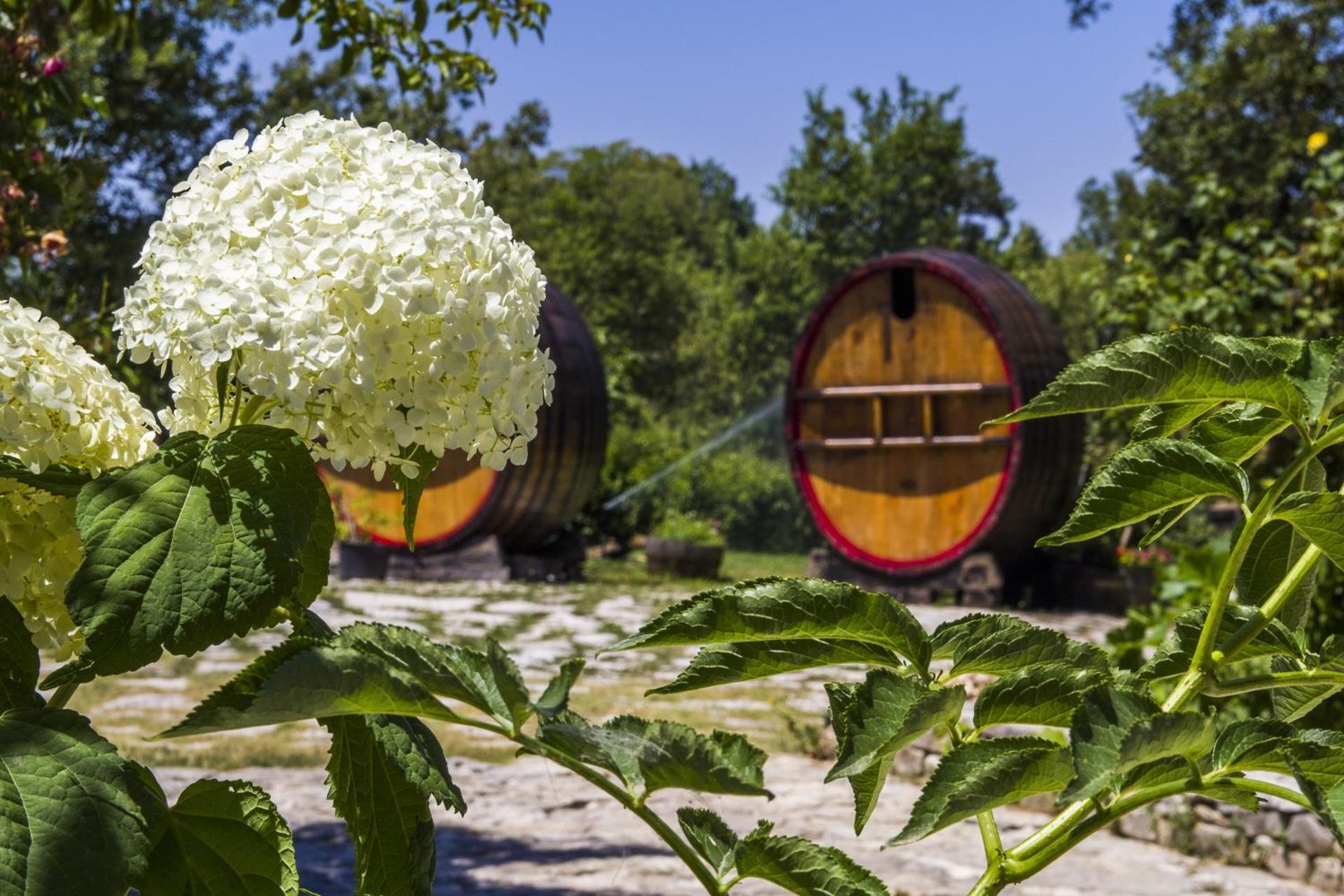 AGRITURISMO Case Catalano - Photo 241