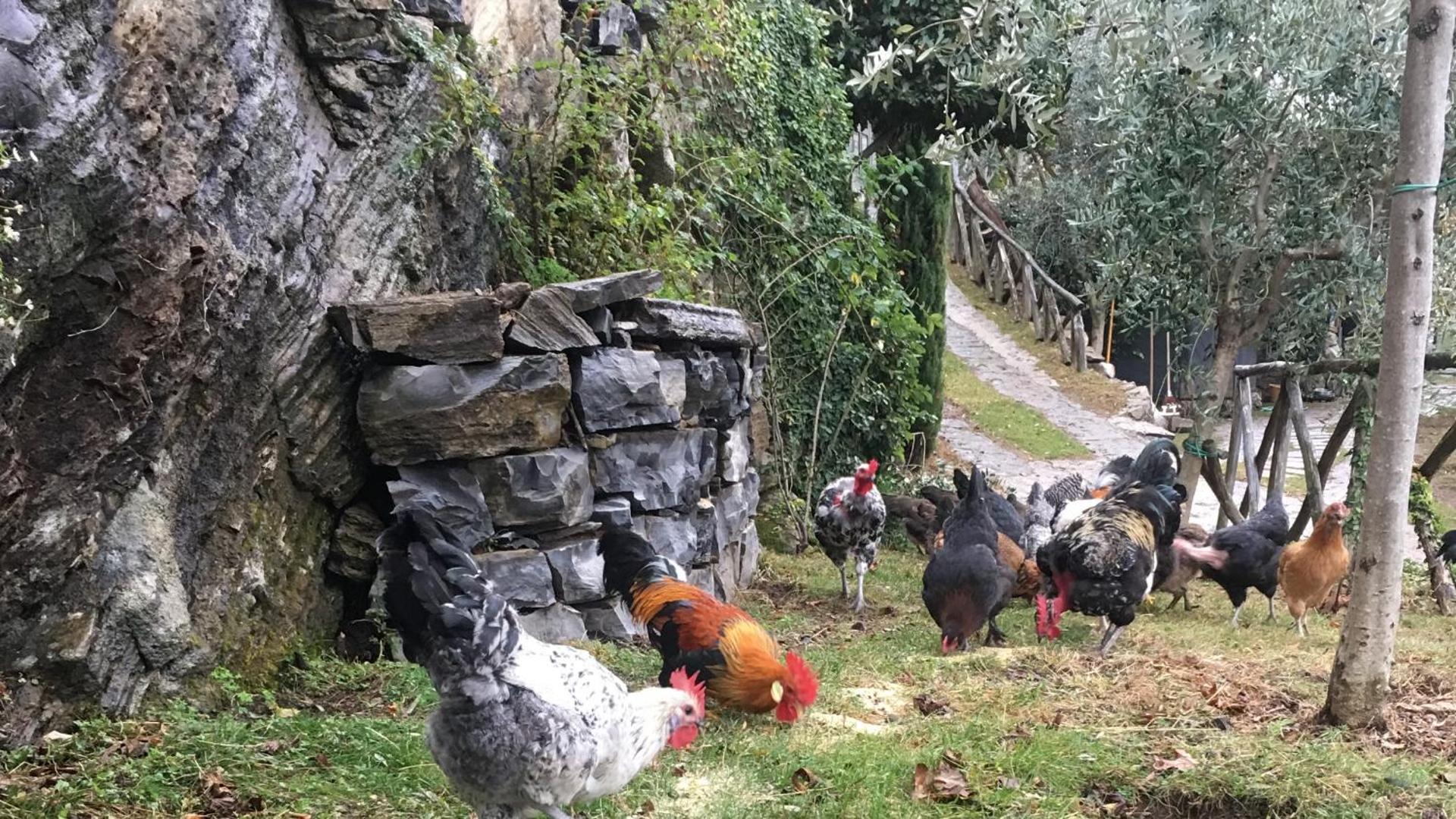 Casa Vacanza Castagna - Photo 25