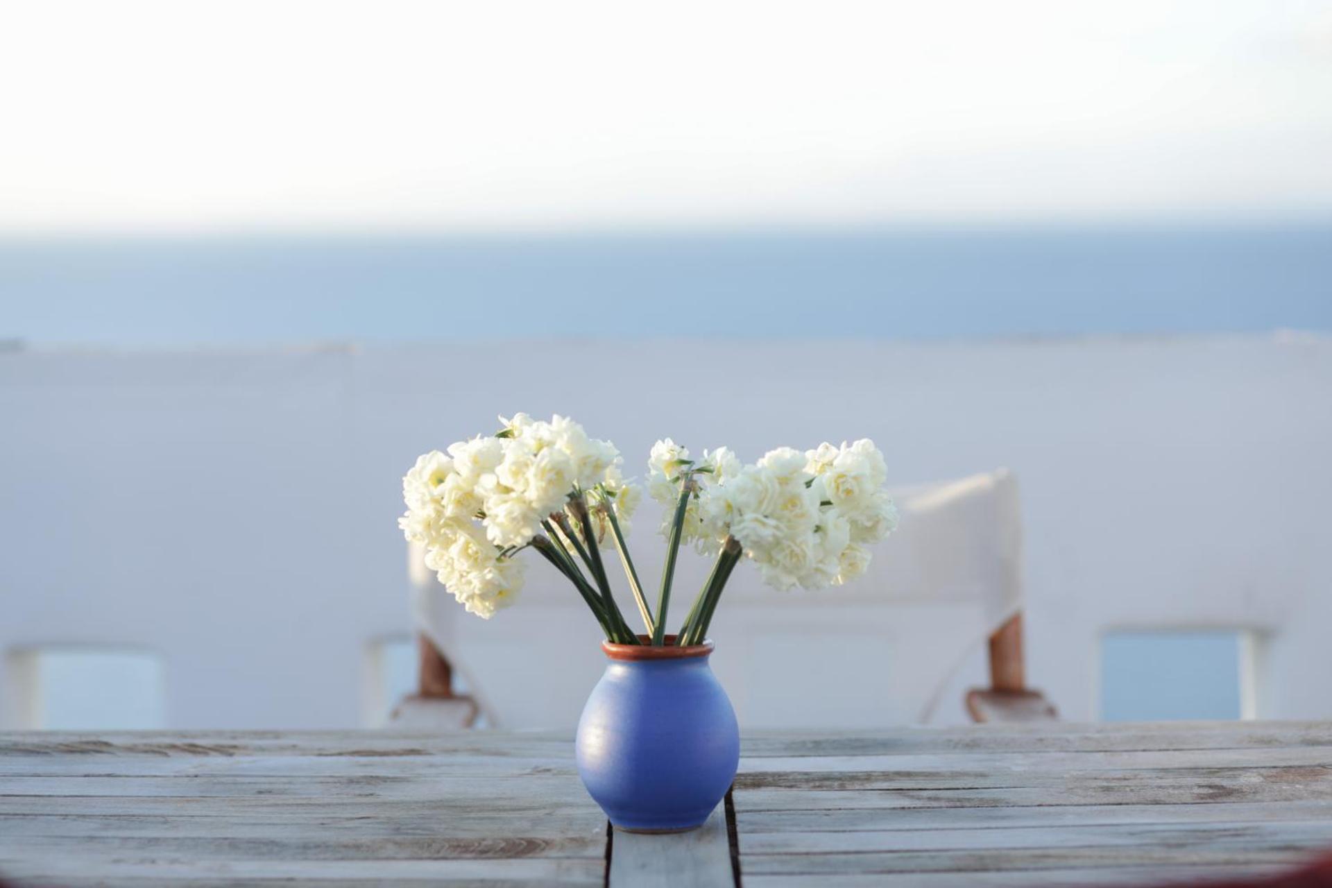Villa Athina - Photo 90